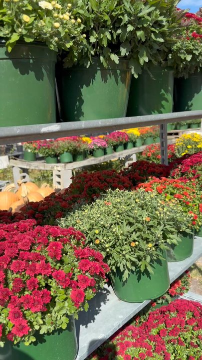 Perrone's Farm - Farmers Market Near Me - Cobleskill, New York