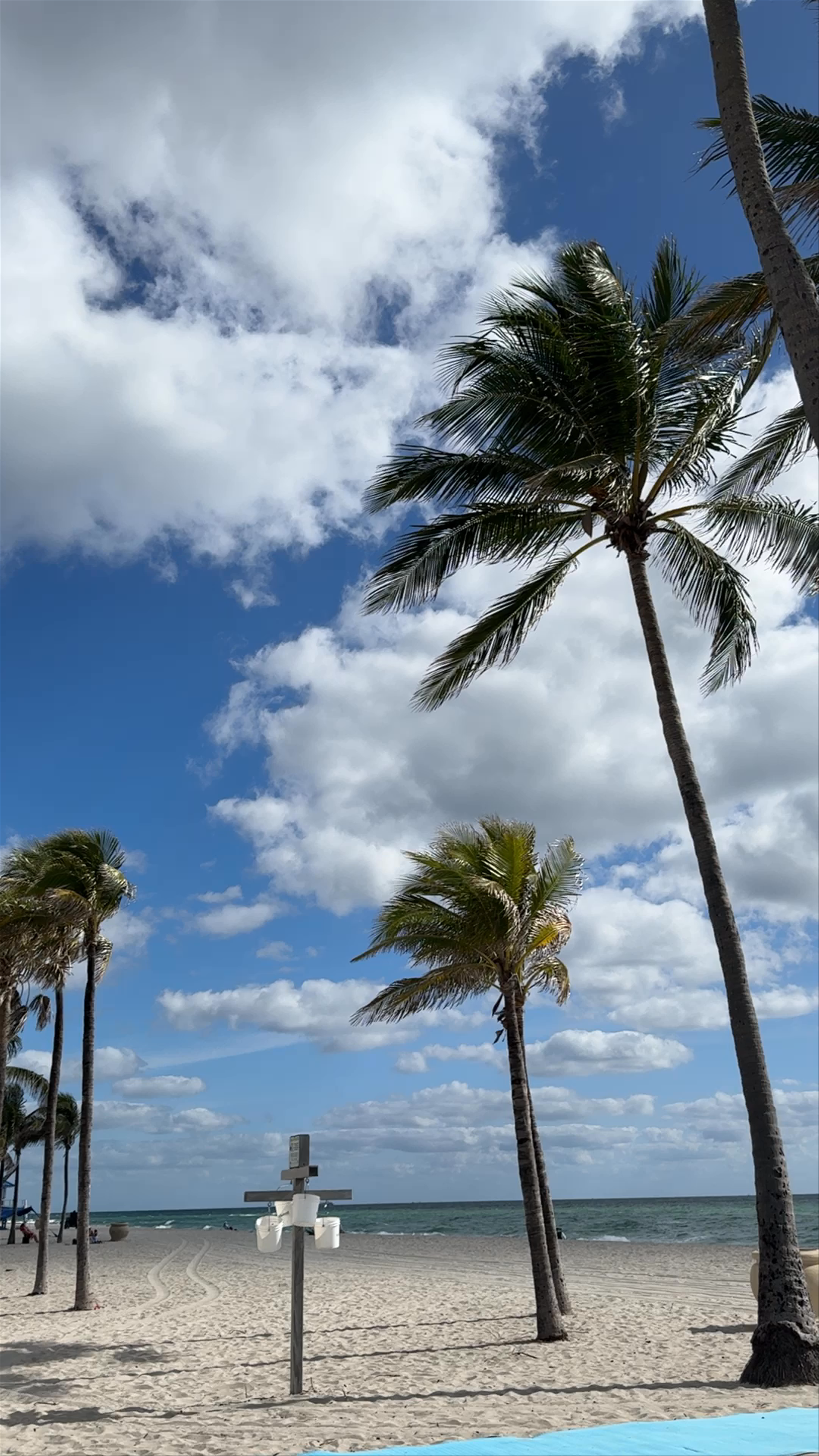 Breezy Day at Hollywood Beach Broadwalk, Florida