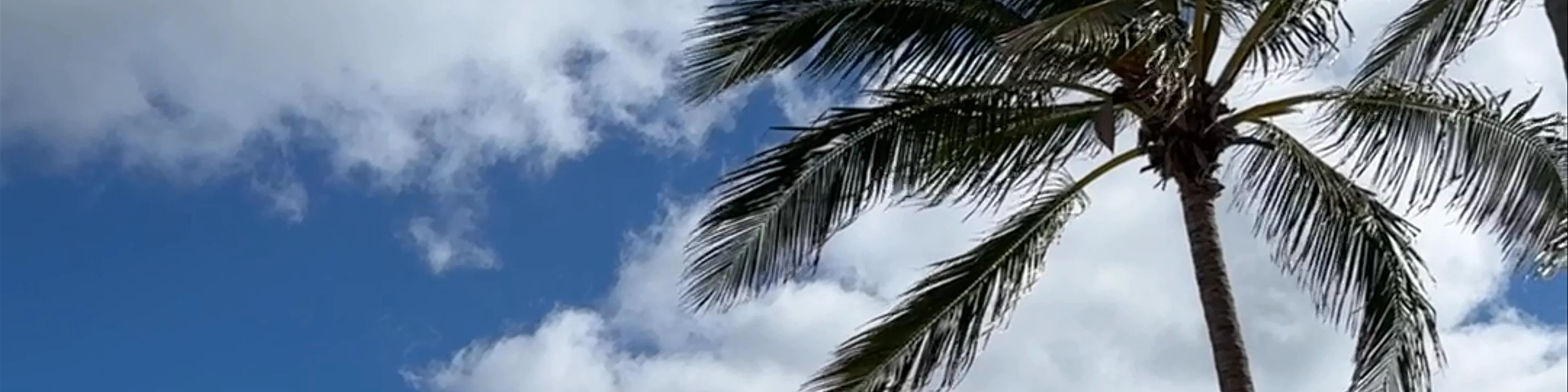Hollywood Beach Broadwalk