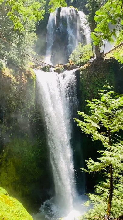 Falls Creek Falls - Truly spectacular & well worth the hike! - Hiking Near Me - Carson, Washington
