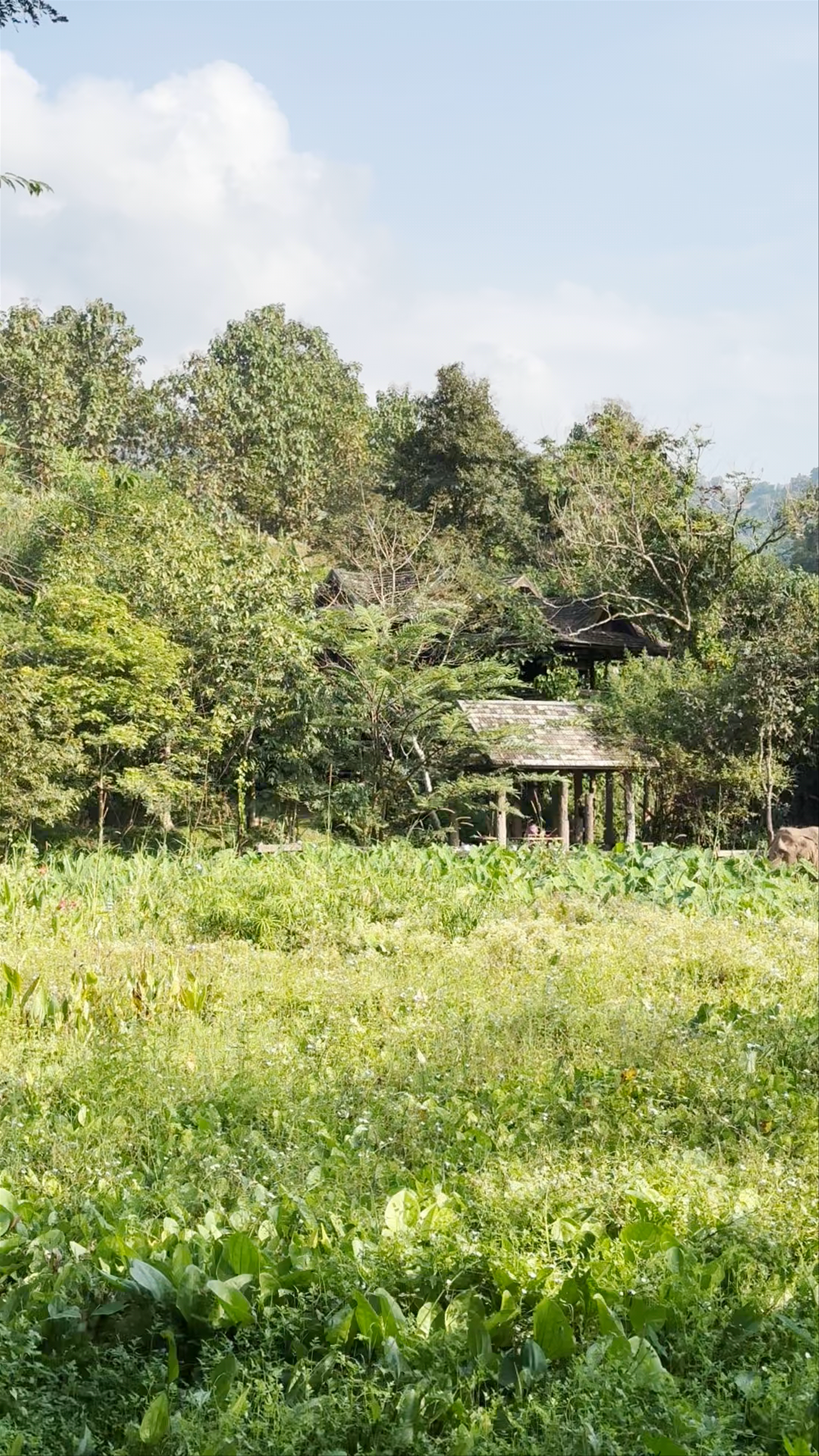 Elephant EcoValley