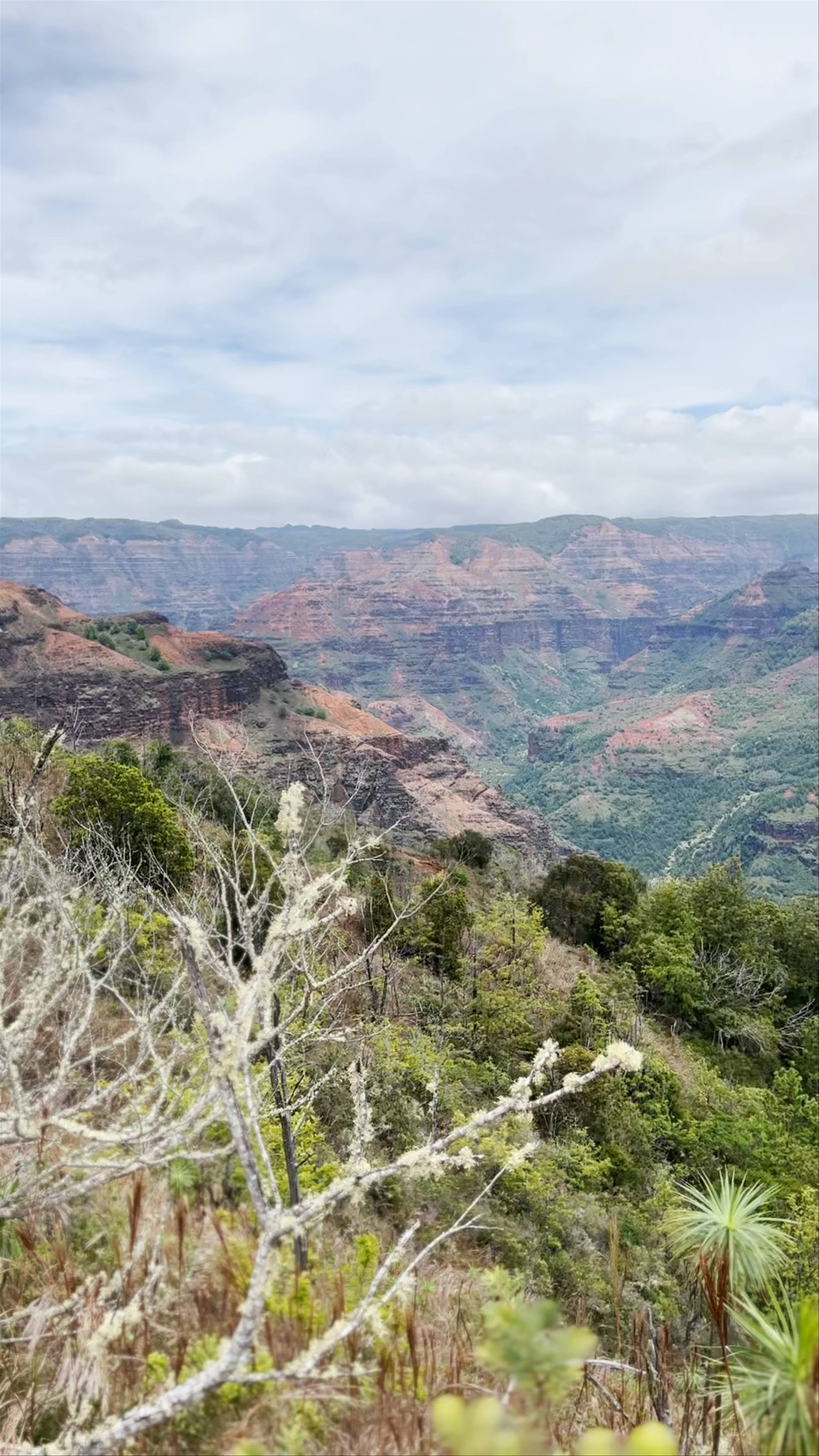 Canyon lookout with parking, Waimea