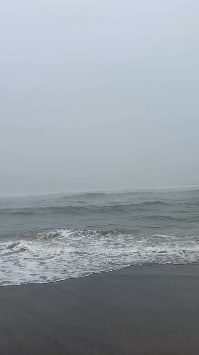 Proposal Rock Beach - Beaches Near Me - Neskowin, Oregon