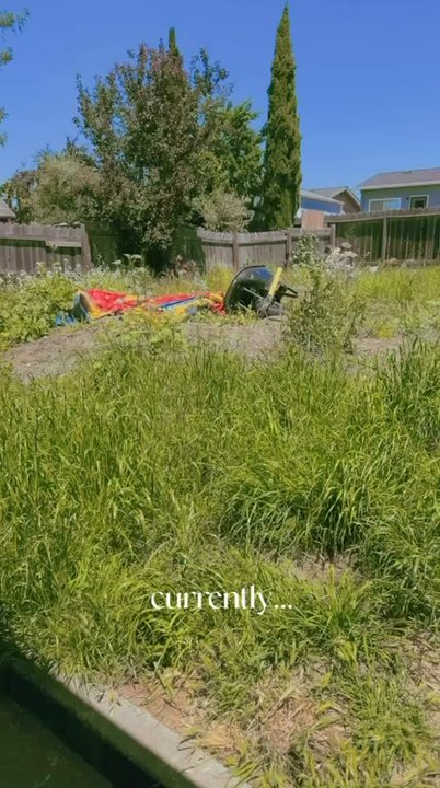 Atlas Tree Service - My backyard was unlevel and we could not walk on it. - Landscaping Near Me - Concord, California
