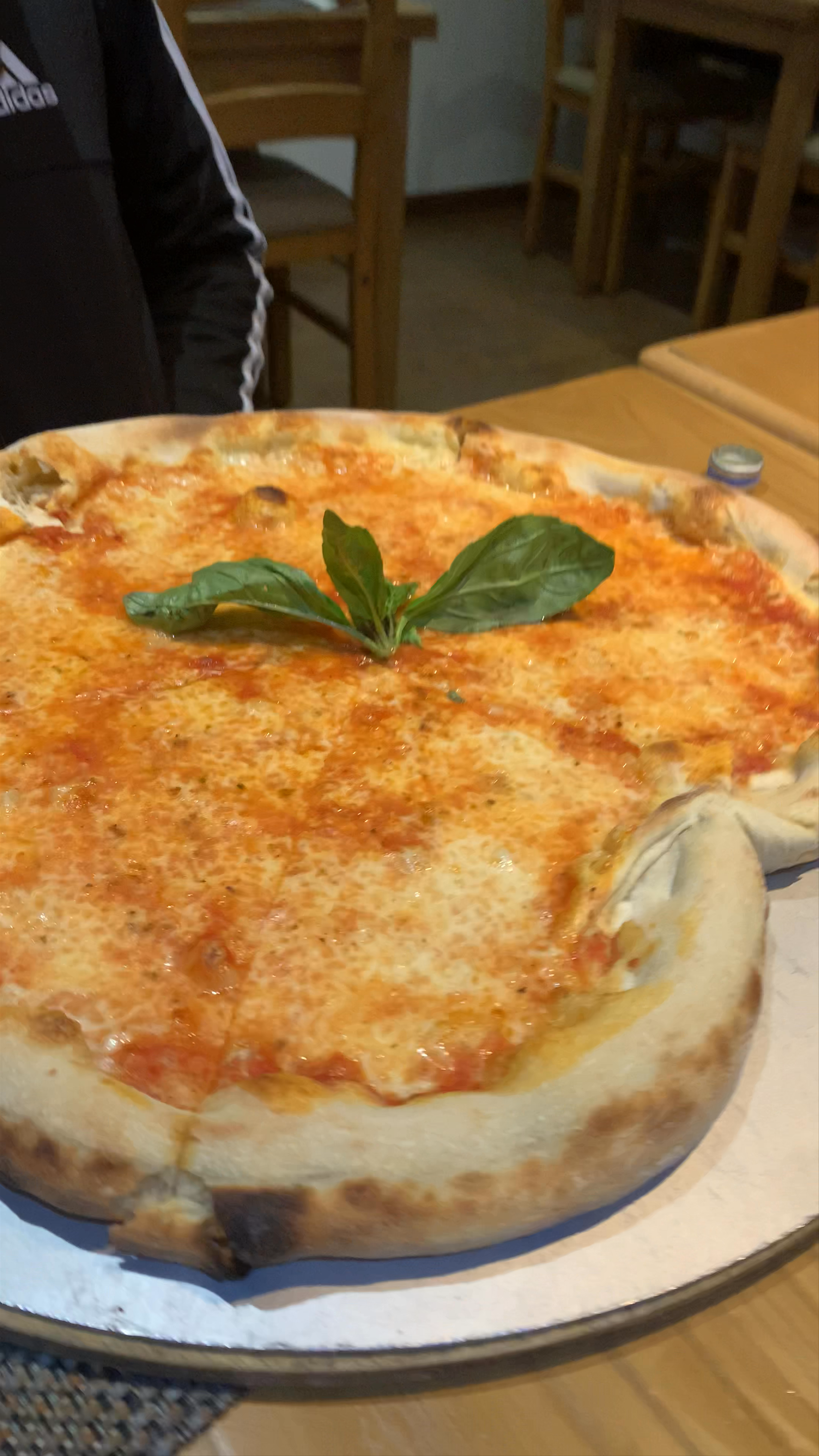 THE BEST PIZZA in Armacao de pera  