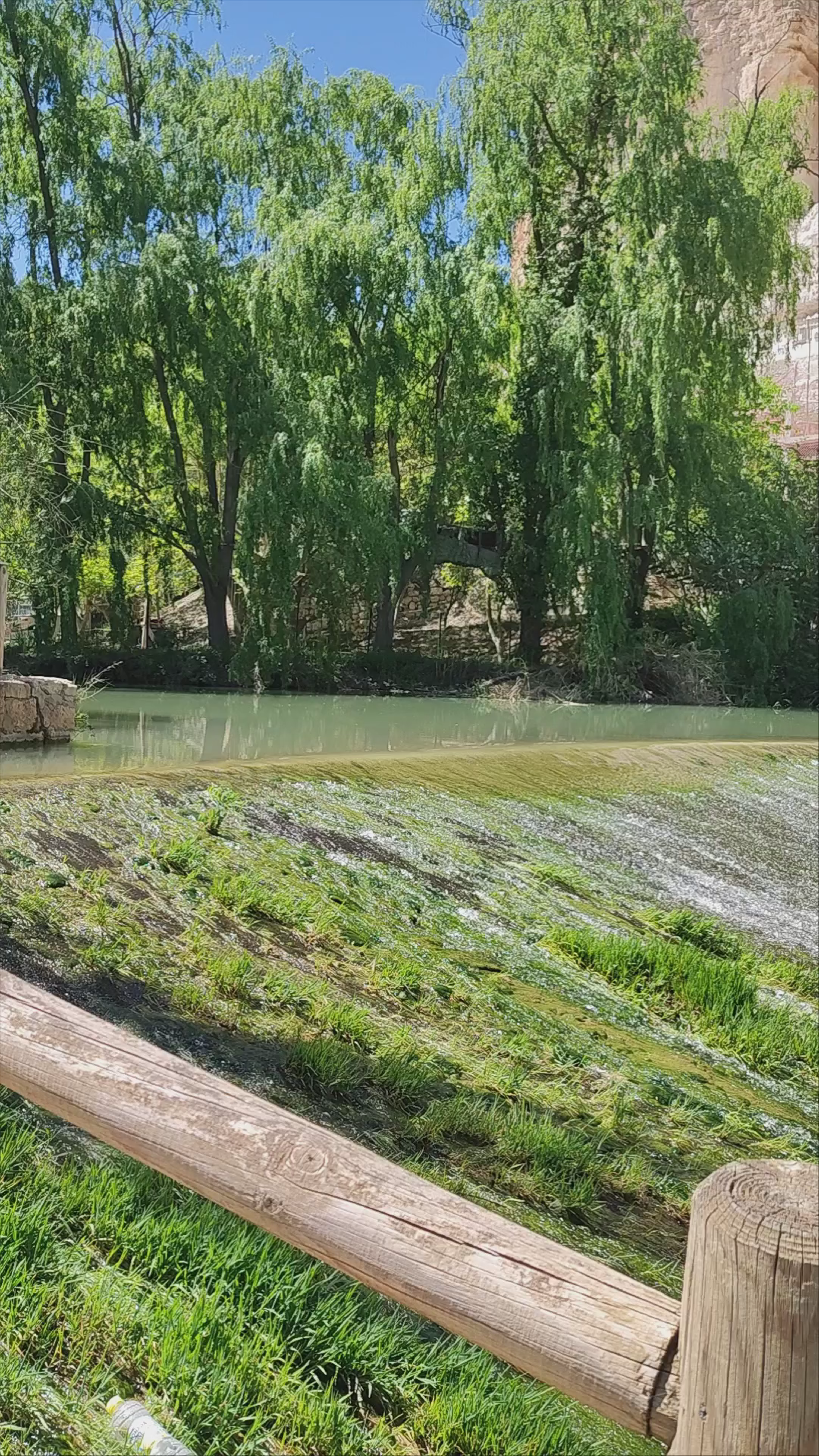 Lush Riverside Serenity at Playa de Alcalá del Júcar, Spain