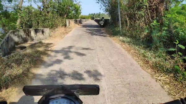 Photo of Back to good old bea