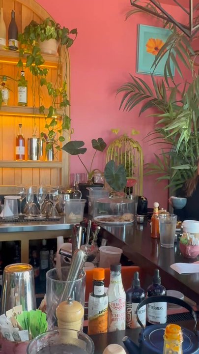 Prelude - cute plant decor! - Breakfast & Brunch Near Me - Bentonville, Arkansas