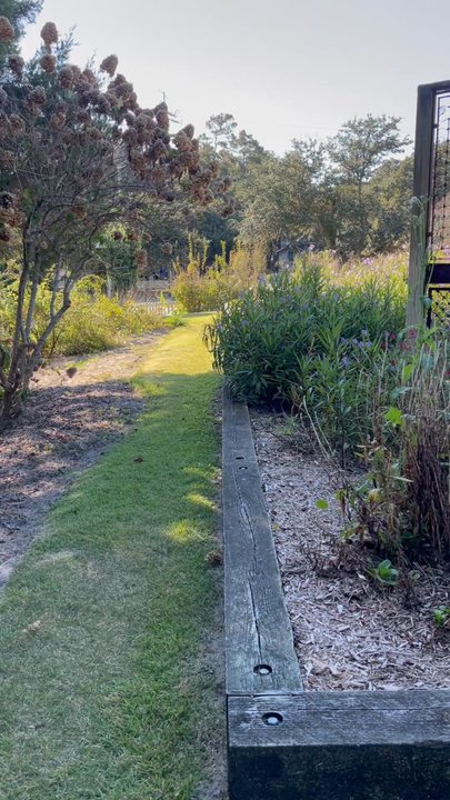 The Kind Cup - Short pano vid of the beautiful botanical garden out back, behind the shop. So zen and relaxing. Stroll & sip or take a load off & hang out - Coffee & Tea Near Me - Corolla, North Carolina