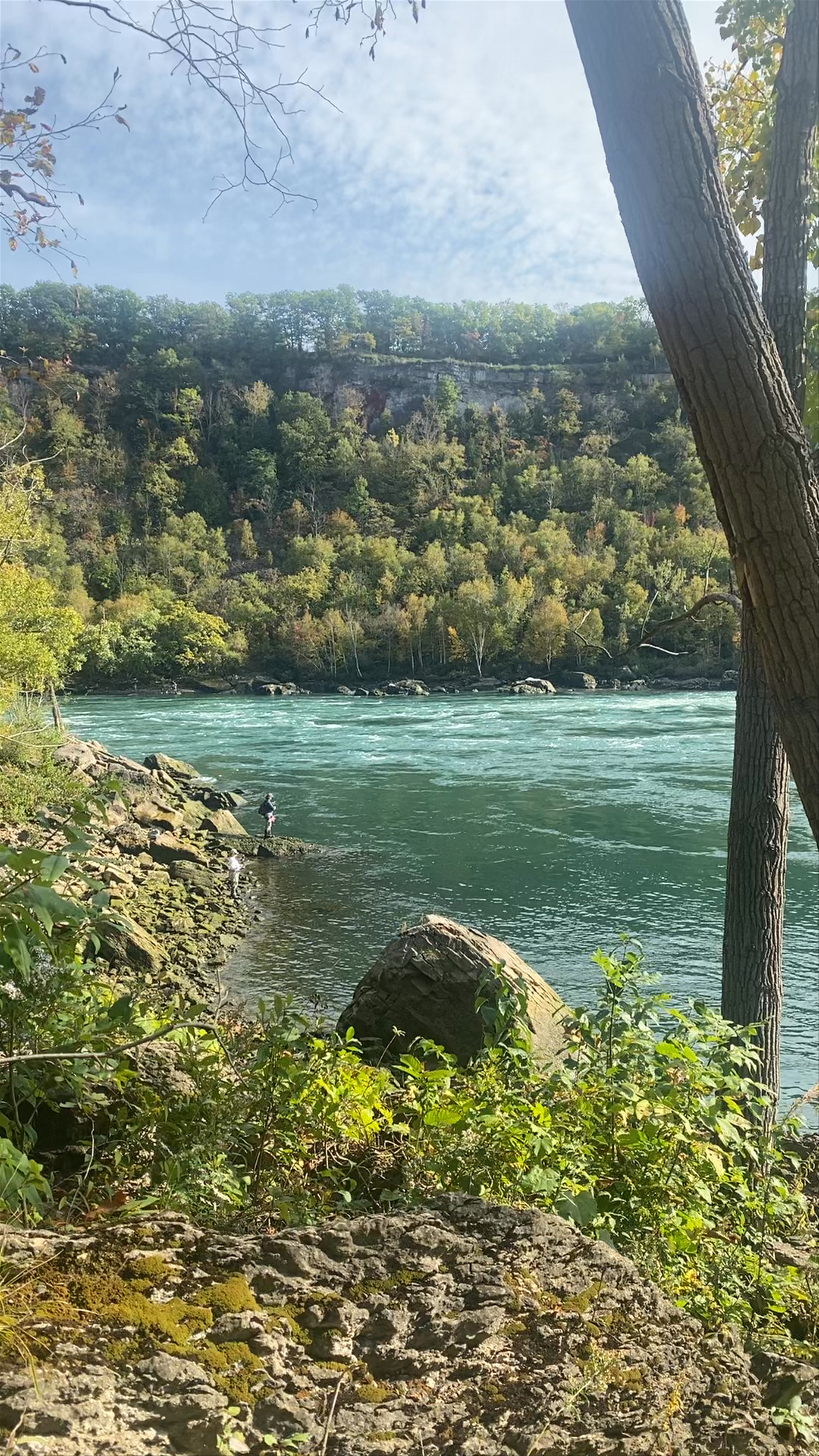 Niagara Glen Nature Centre: Serene Riverside Escape in Niagara Falls