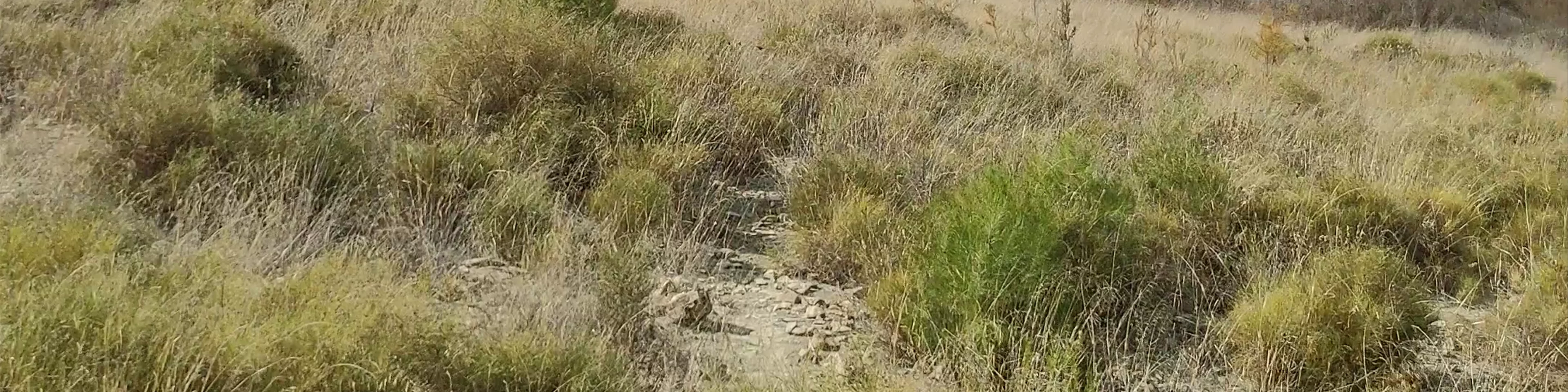 Lake Vinuela