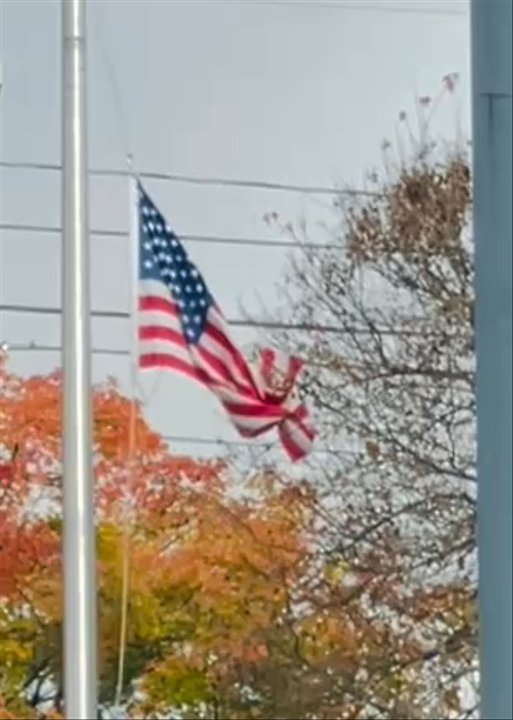 McDonald's - Flag at half staff stuck in trees. - Burgers Near Me - Charlotte, North Carolina