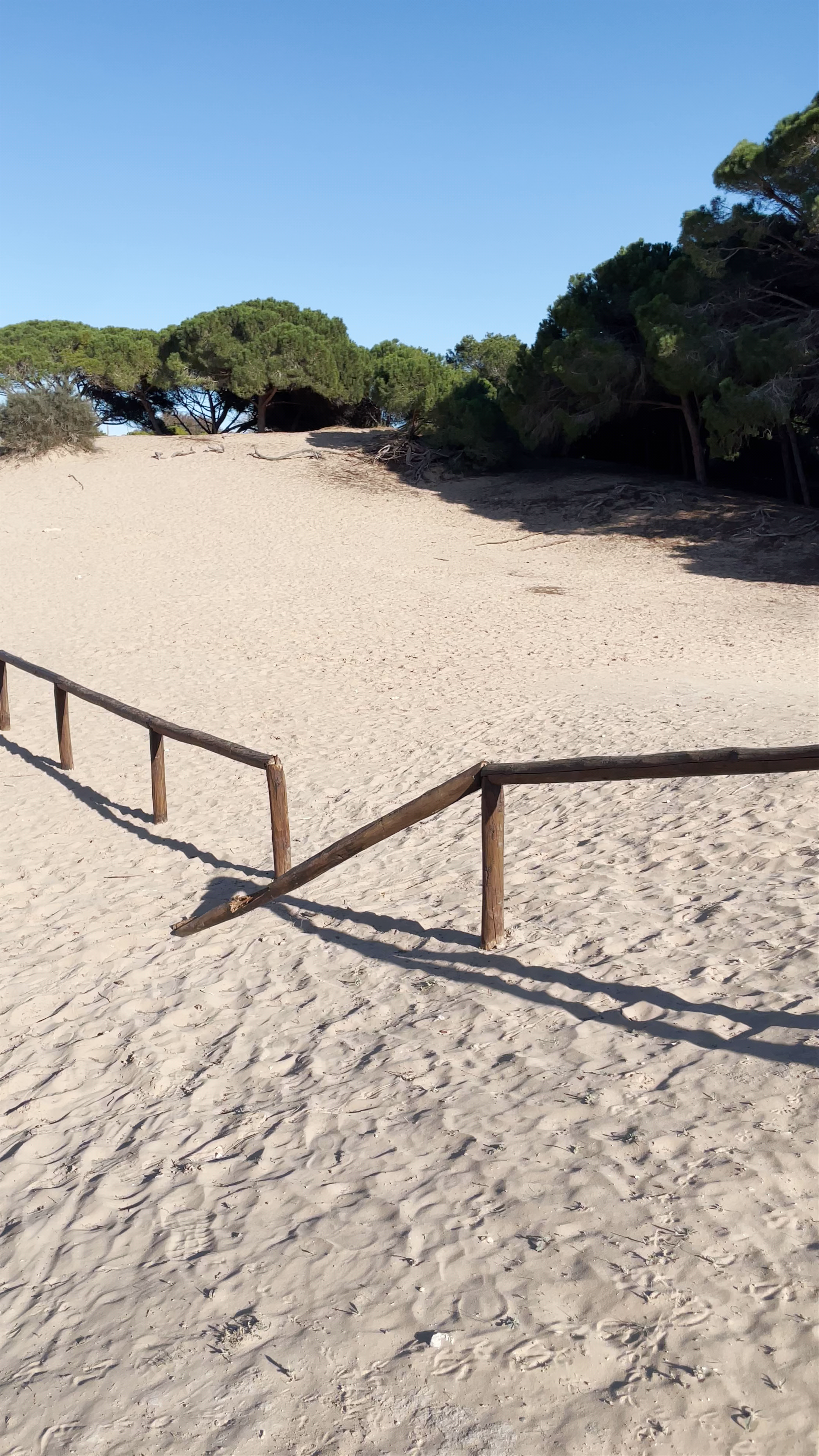 Clot de Galvany Nature Reserve: A Serene Natural Escape in Los Arenales del Sol