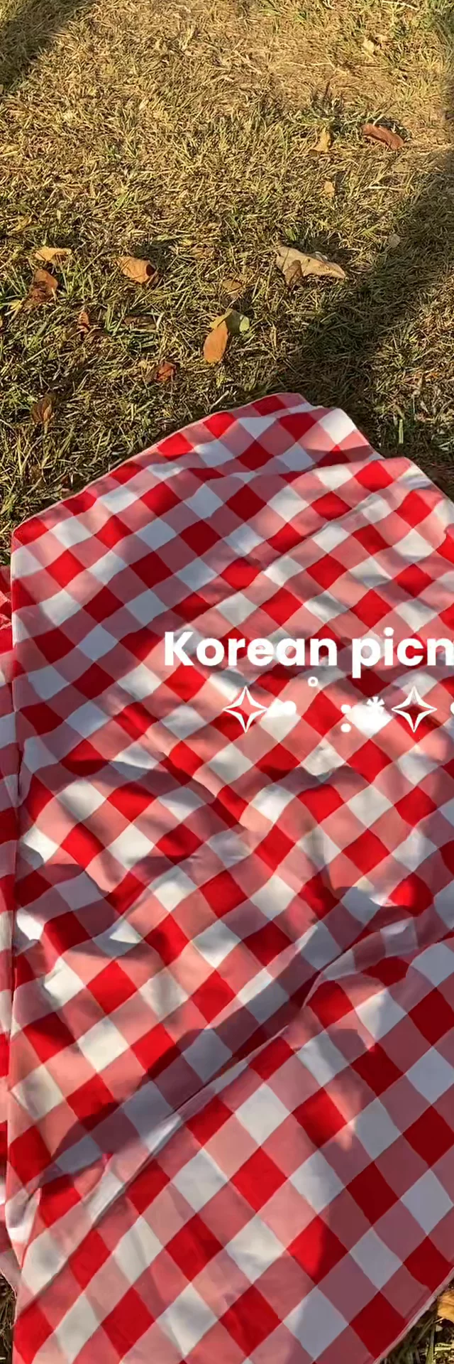 Unboxing de comida coreana: picnic vibes