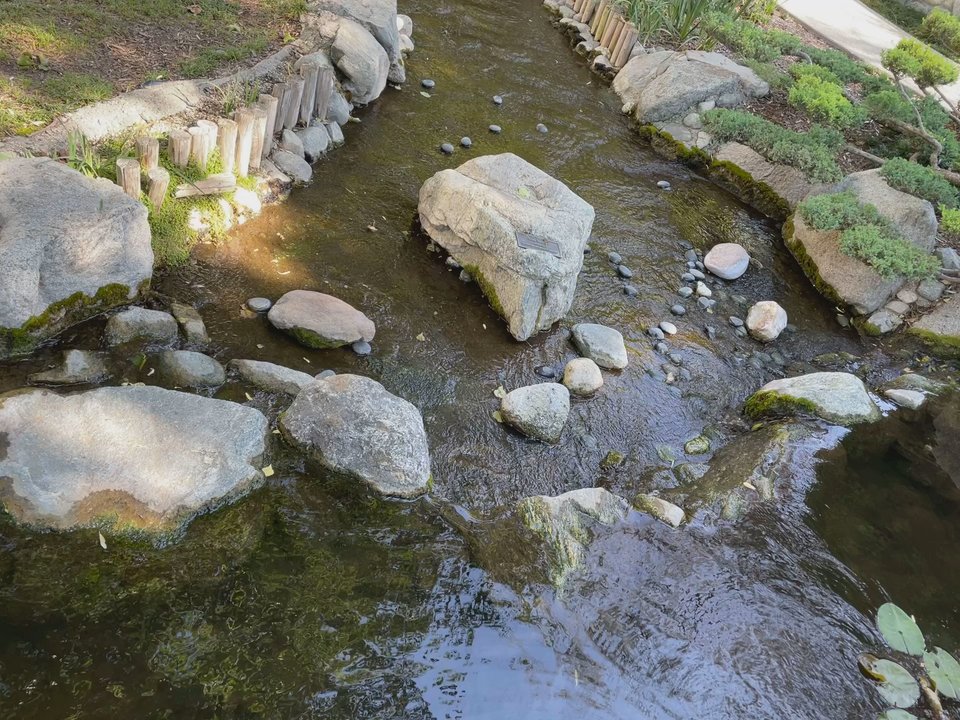 Cal Poly Pomona - Japanese garden! - Colleges & Universities Near Me - Pomona, California