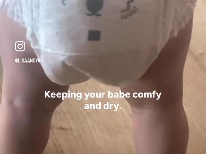 Comfy koalas