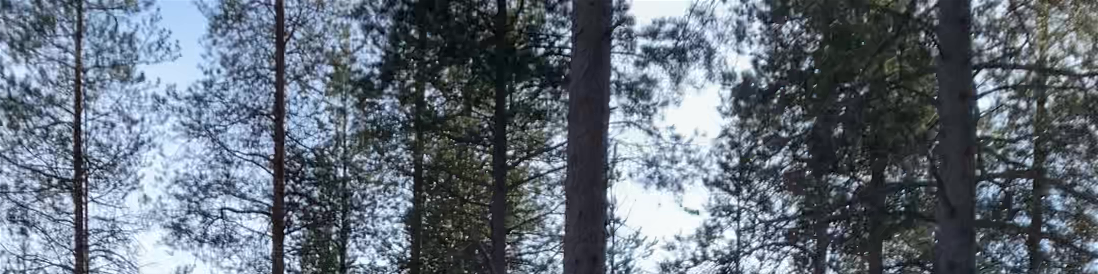 Rovaniemi