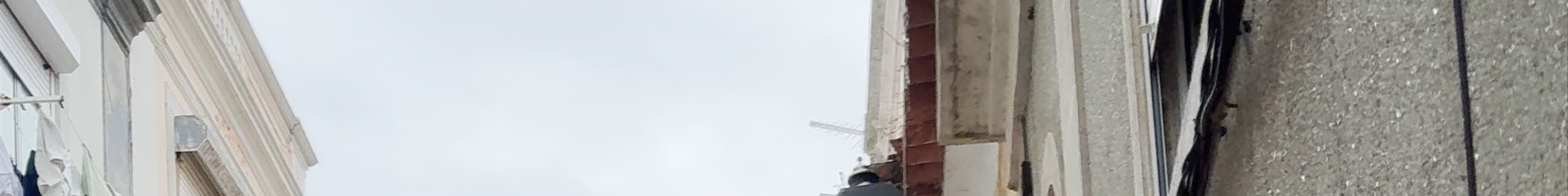 Tours & experiences in Setúbal