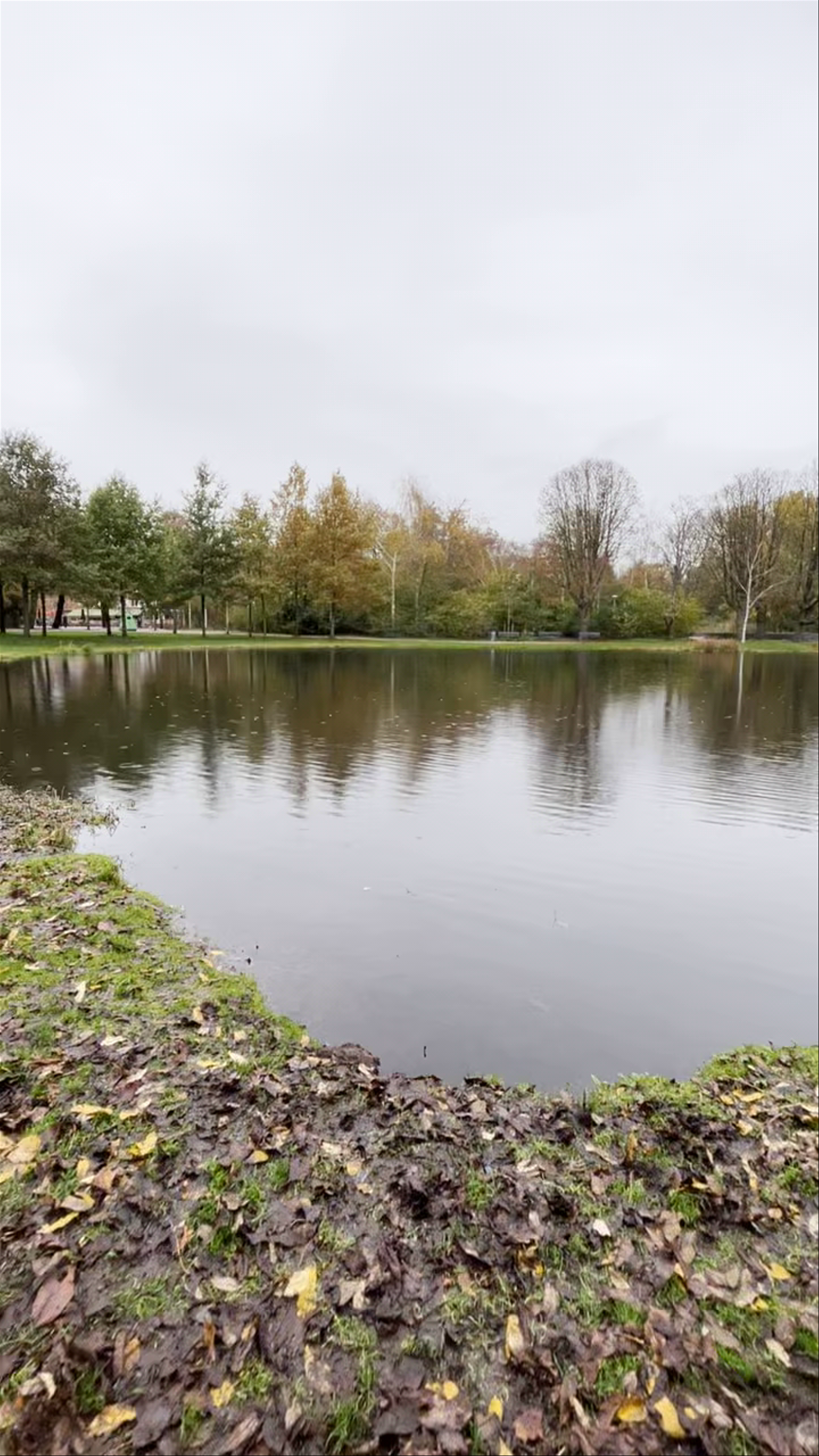 Tranquil Autumn Stroll at Vondelpark Pond, Amsterdam