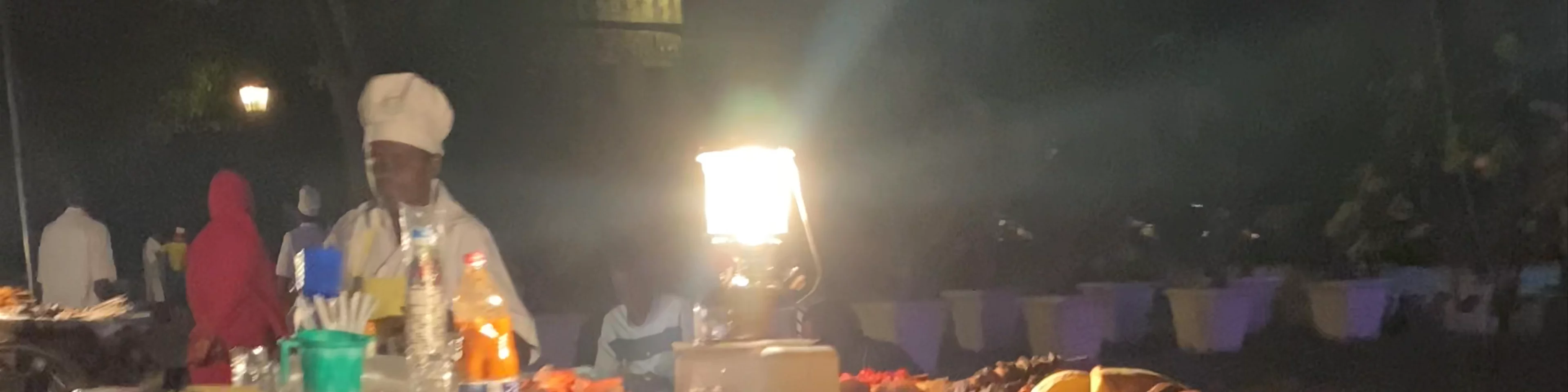 Night Market at Forodhani