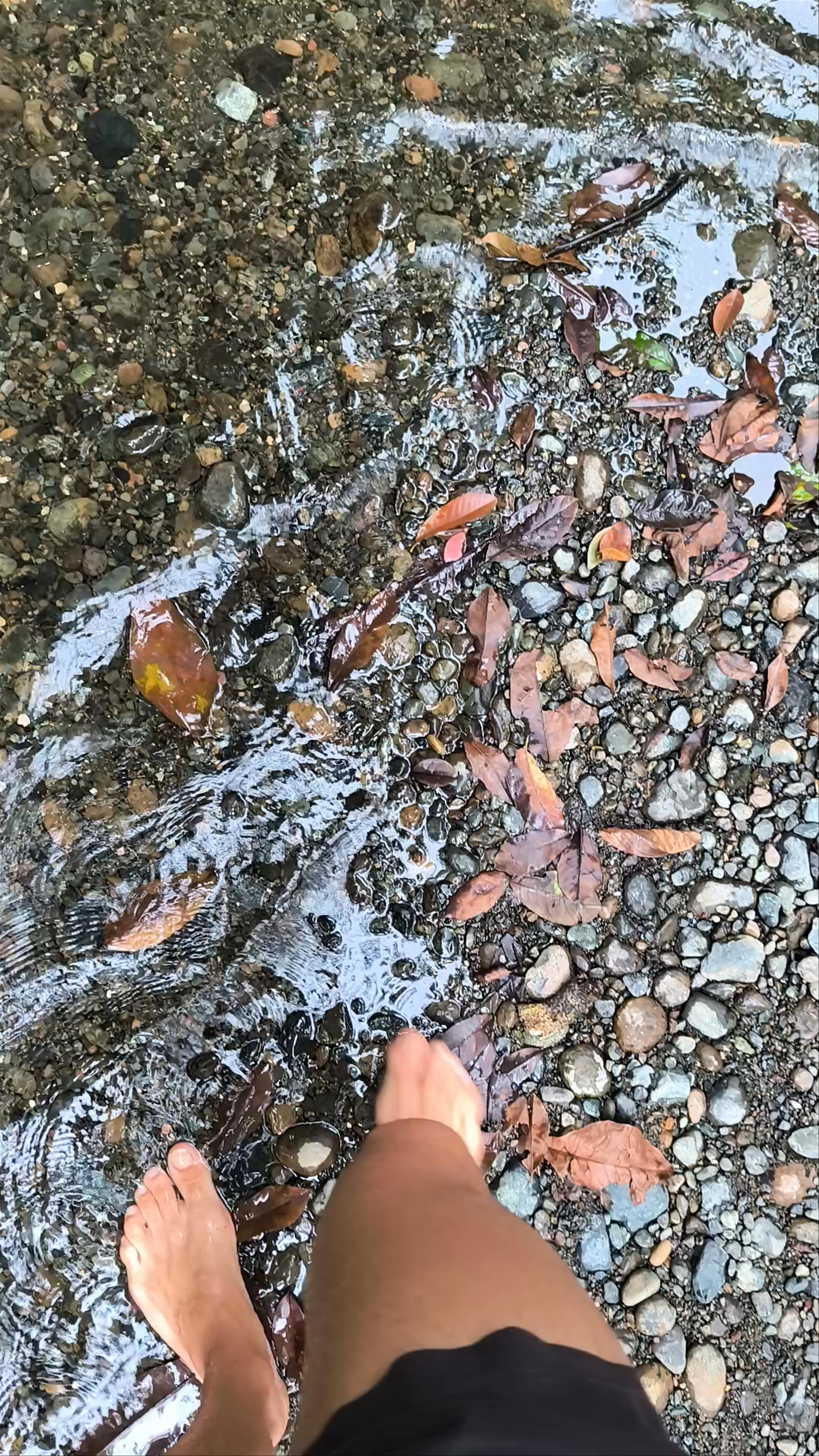 Cataratas - Finca El Paraíso