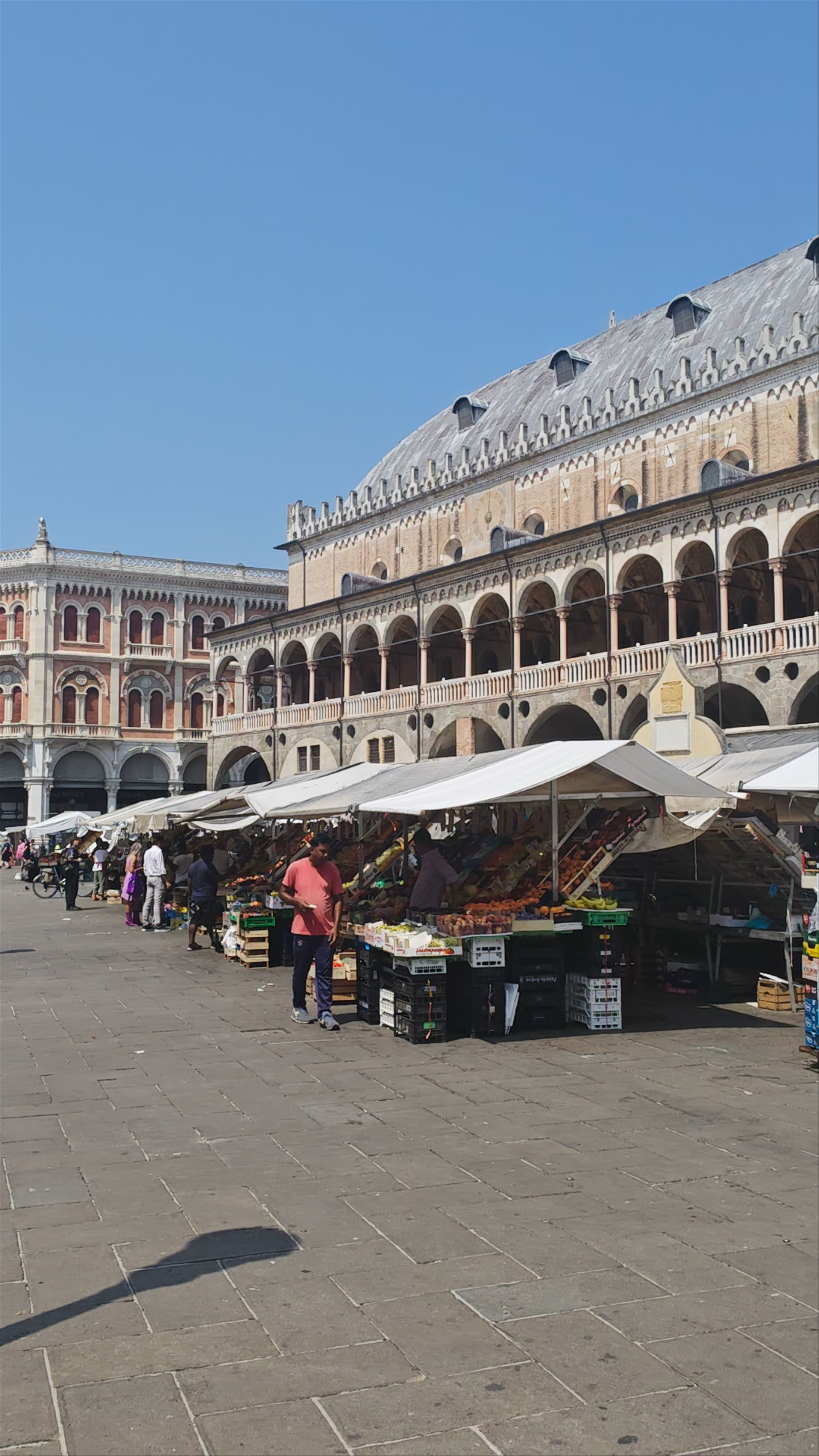 Sotto Salone Piazza delle Erbe: Vibrant Market Life in Padua