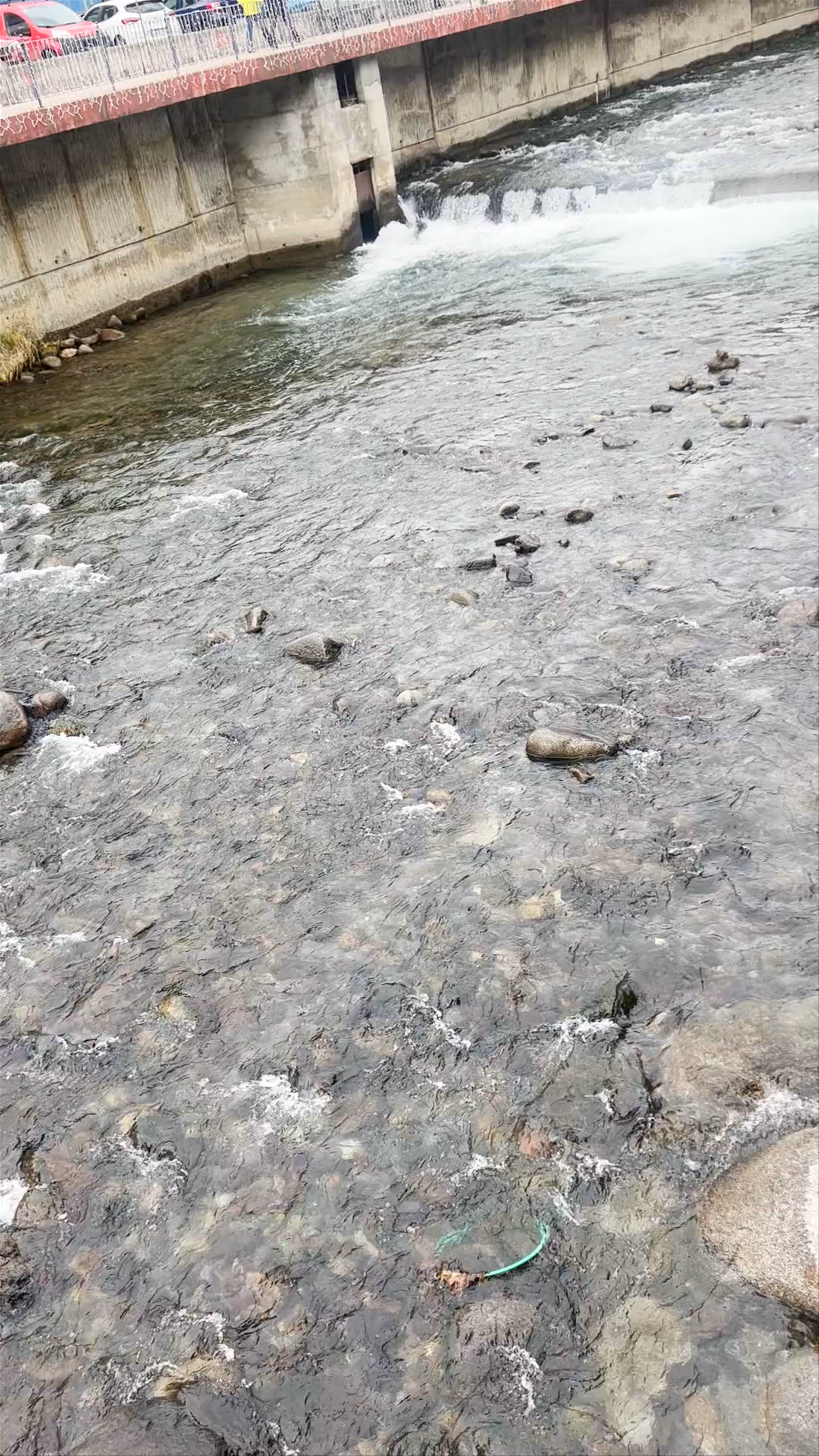 Passarel·la del Parc Central