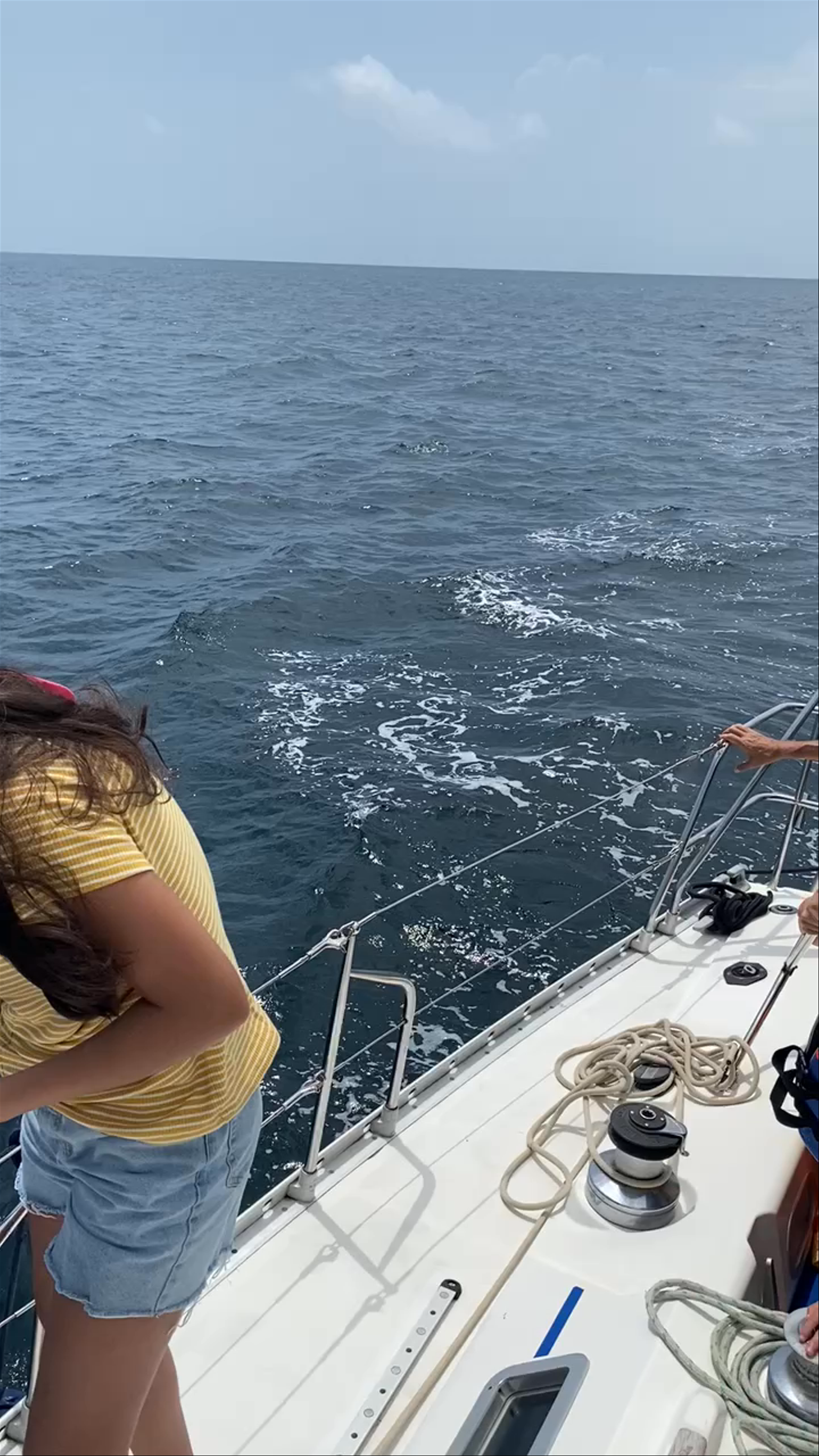 Cholón (Islas del Rosario)