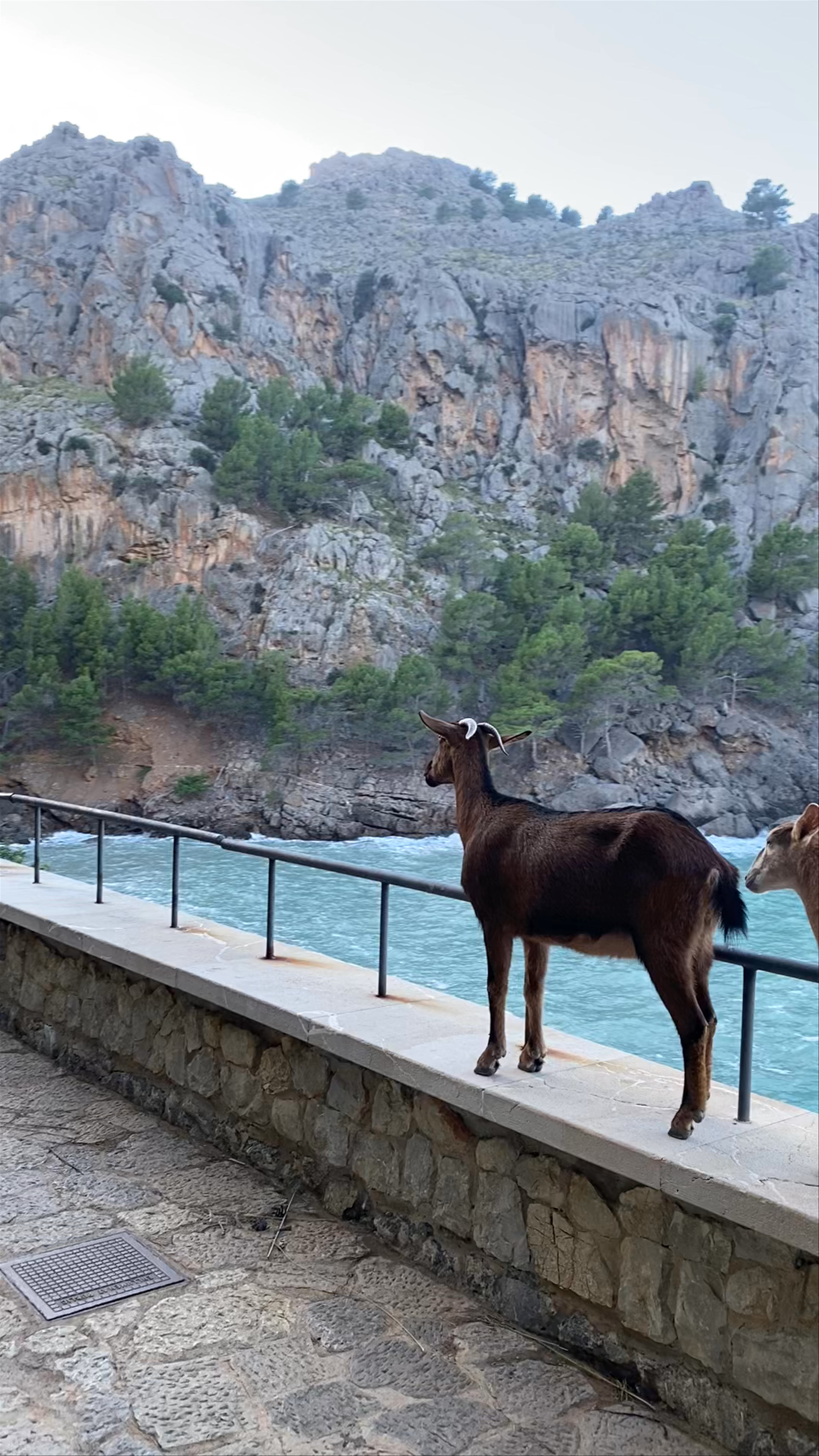 torrent de Pareis