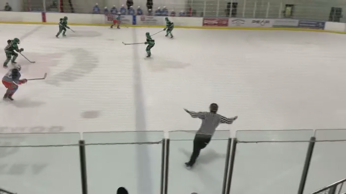 Rieve Petty's Defensive Highlights vs. Little Caesars | Dallas Stars Elite 14U