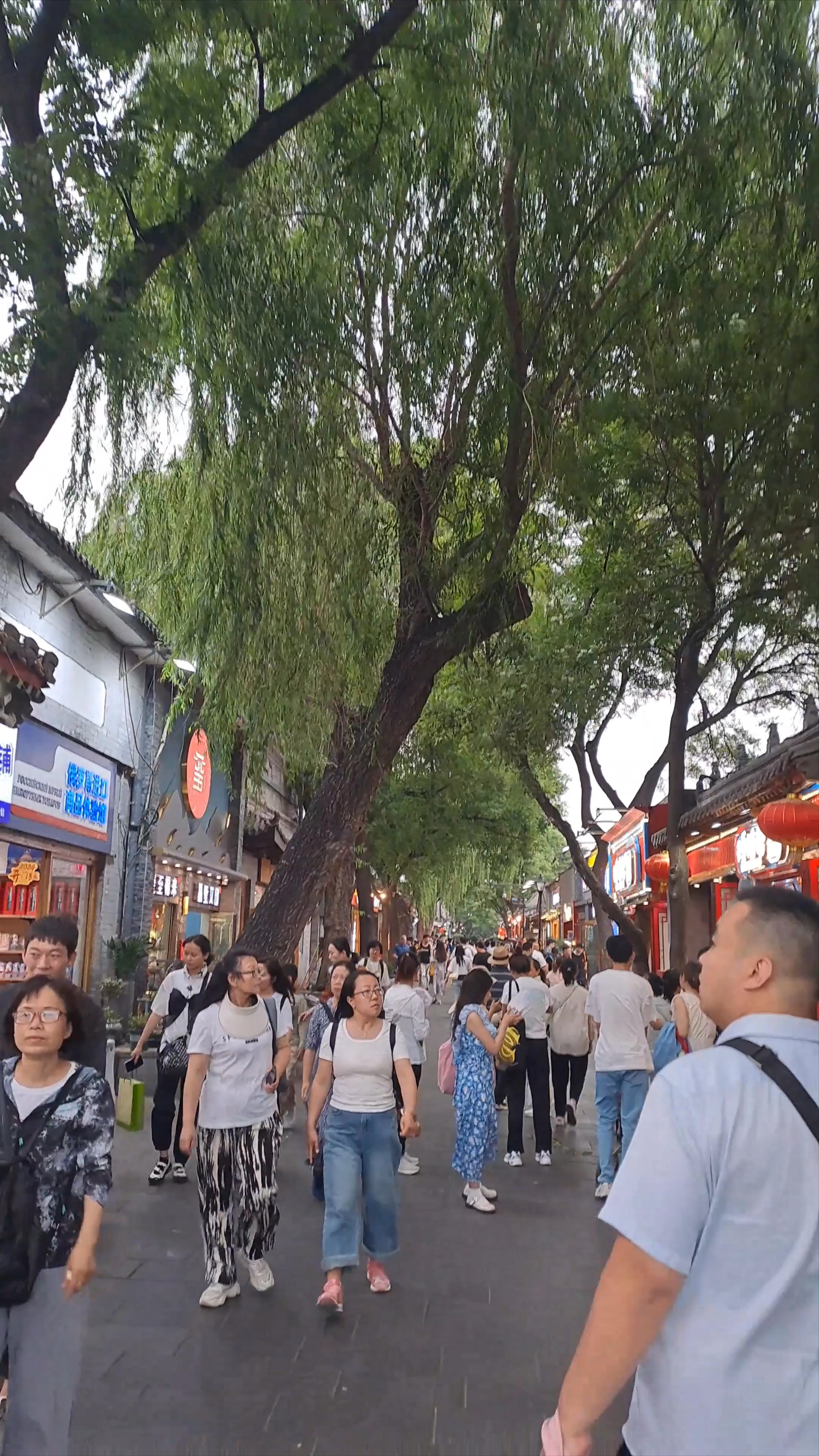 Mingyi Tea Shop