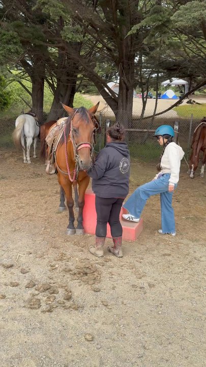 Horse N Around Trail Rides - Stepping onto Victor for the first time. Terry instructed perfectly and made sure I was feeling comfortable and confident! - Horseback Riding Near Me - Bodega, California