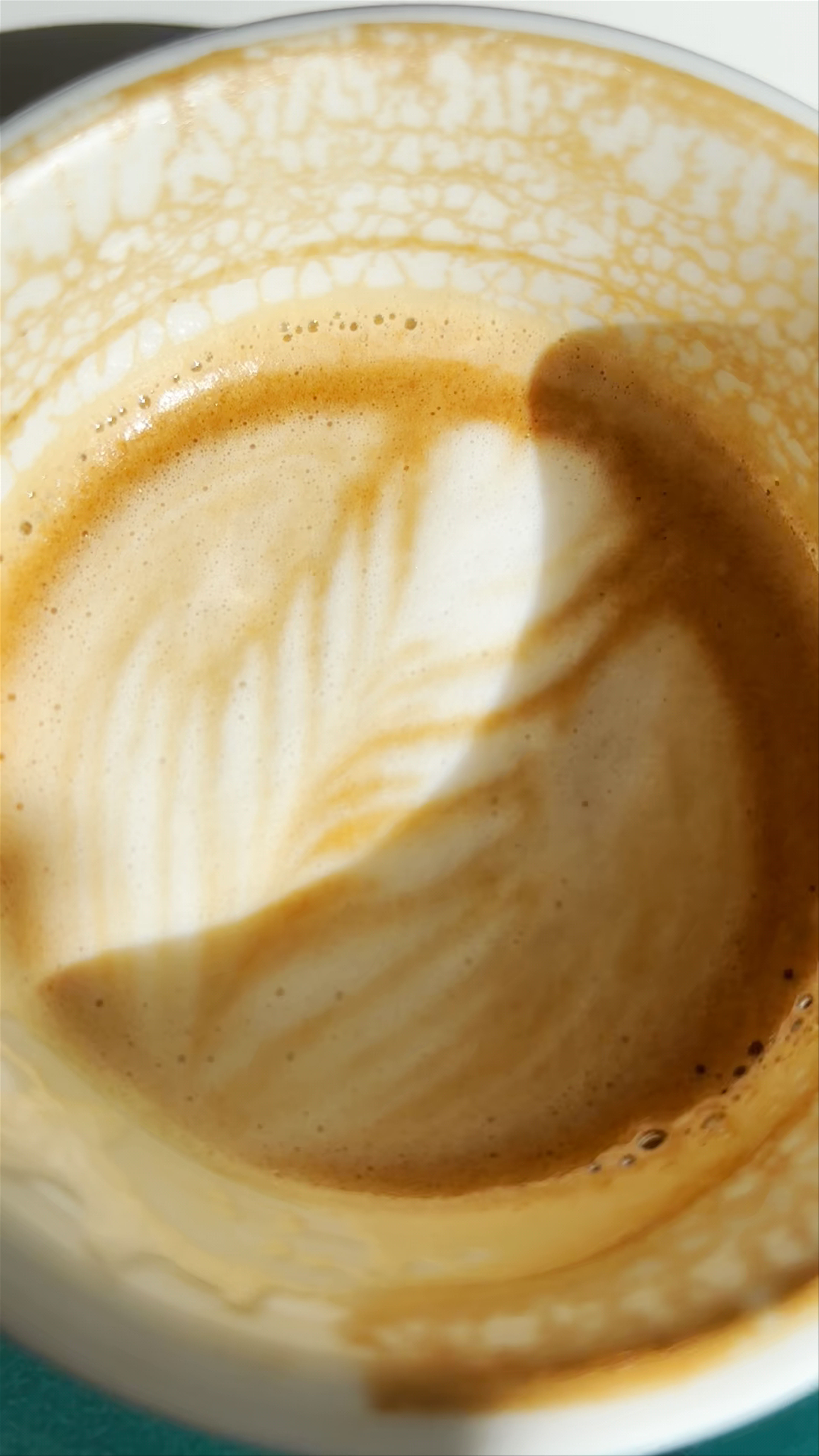 Café Triciclo - Santo Domingo