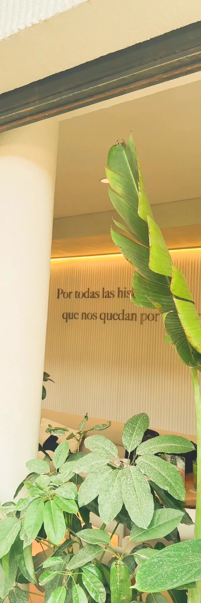 Desayunar nunca fue tan especial