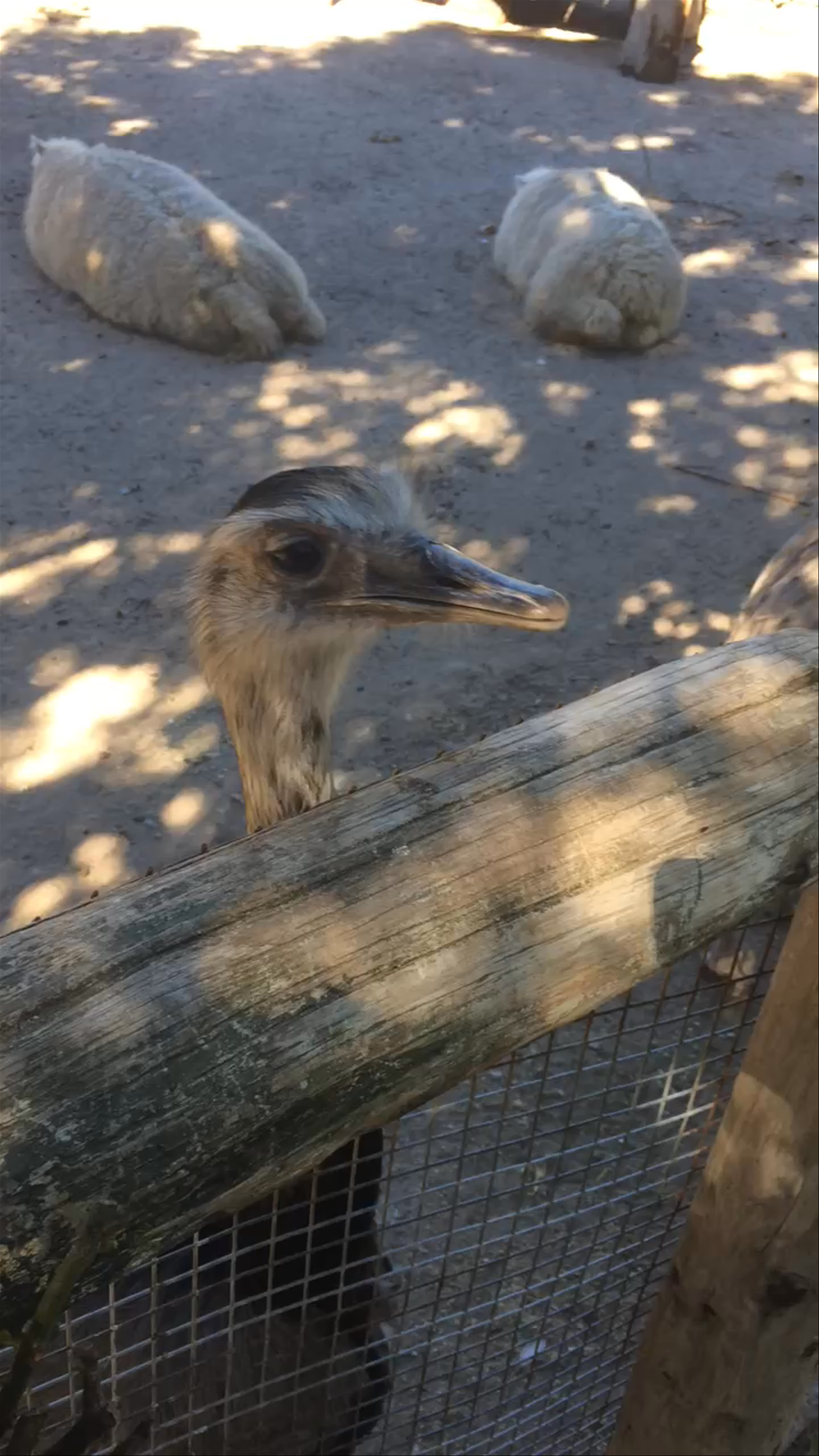 World of Birds Wildlife Sanctuary & Monkey Park