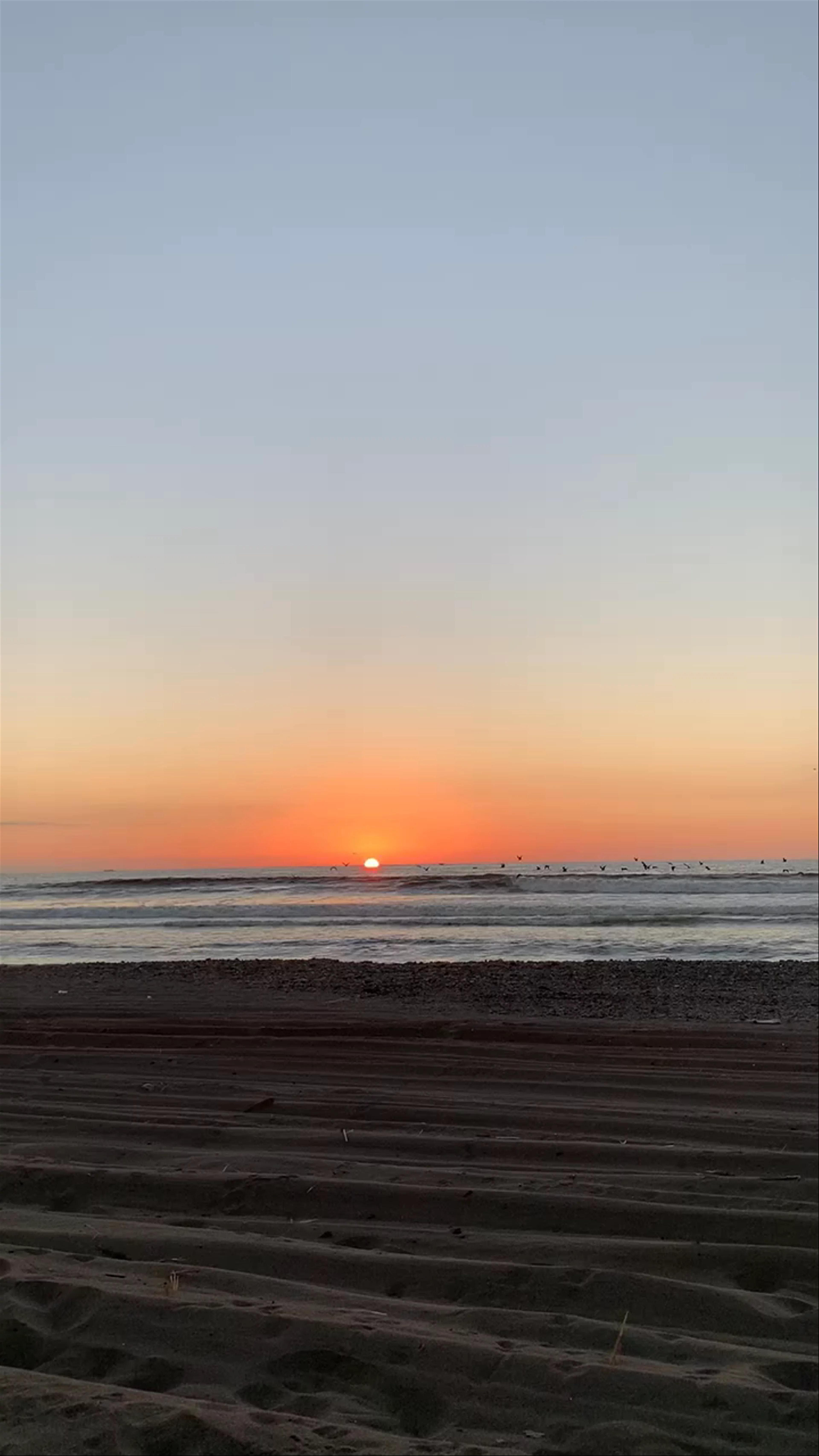 Playa Caleta San Pedro - Rodillo