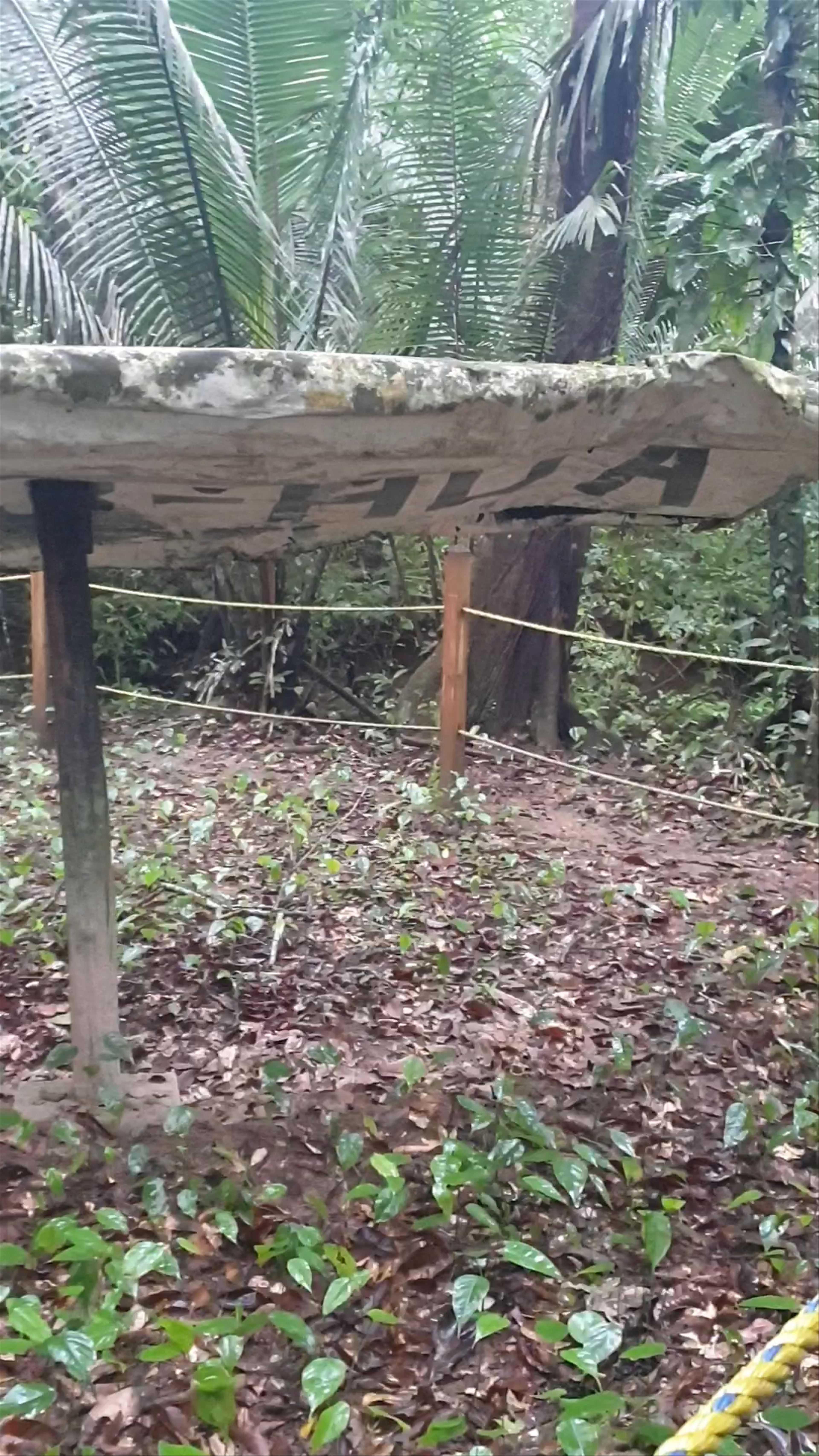 Cockscomb Basin Forest Reserve