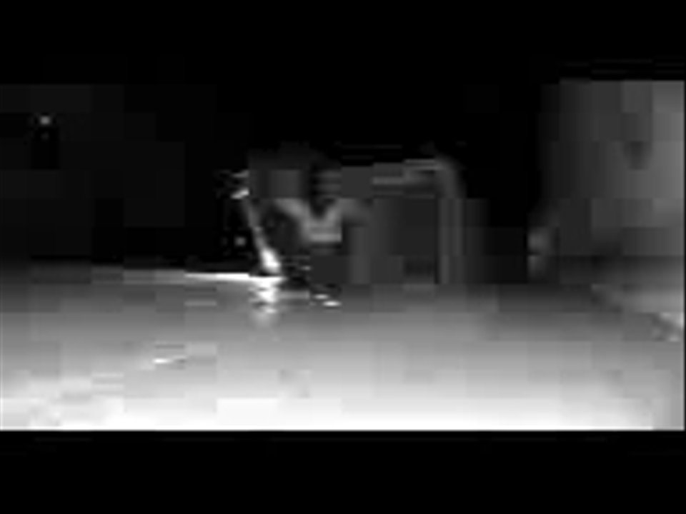 Fred's Pest Control - The final baby snunk is humanely captured in Fred's trap. - Pest Control Near Me - Granada Hills, California