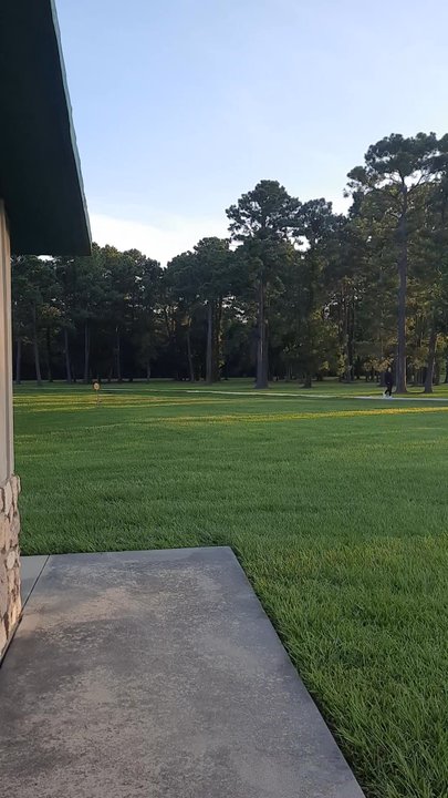 Juneteenth Park - Large green space, near the bathrooms and water station - Parks Near Me - Houston, Texas