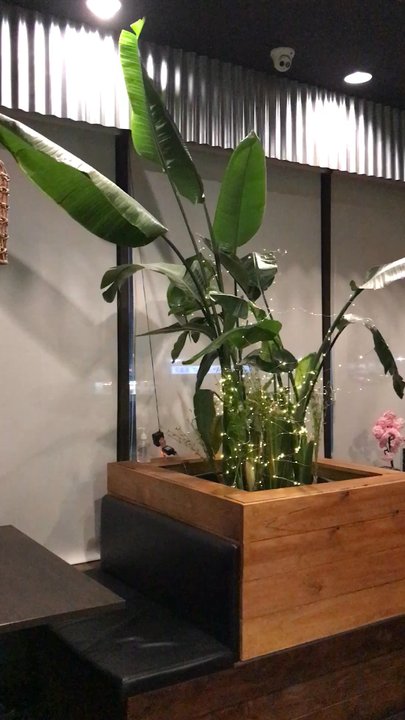 feel90 - Korean Near Me - Markham, Ontario