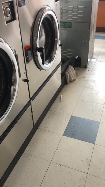Coin Wash - Place is a mess, sewer water all over the floor, Smells like shit. - Laundromat Near Me - Lemon Grove, California