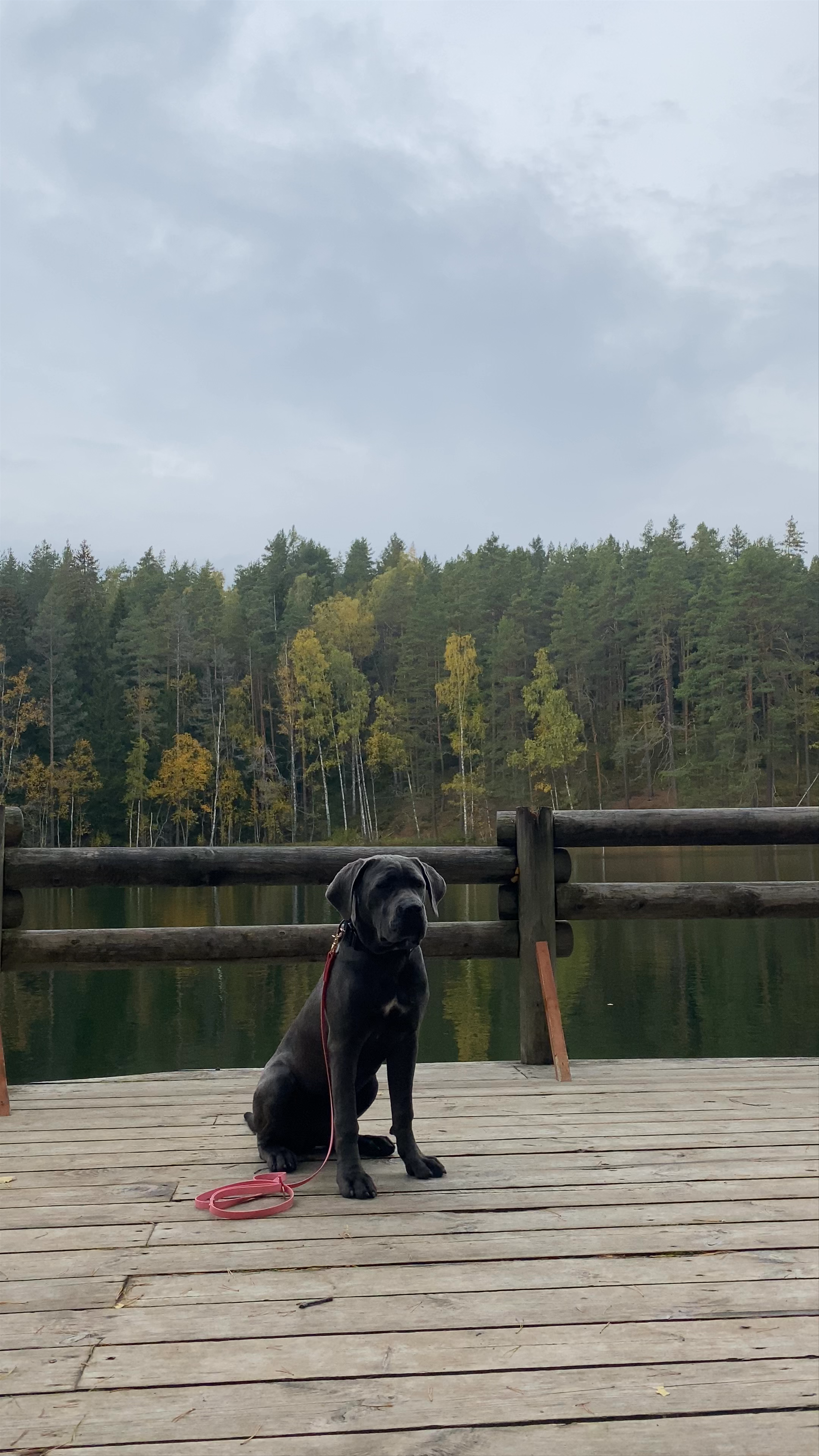 Čertoka ezers Tranquil Lakeside Escape in Latvia