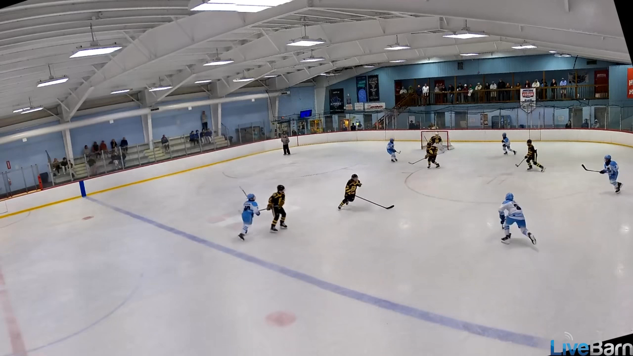 Asher Coffman: Stunning Split Save for Greater Boston Bruins 13U AAA
