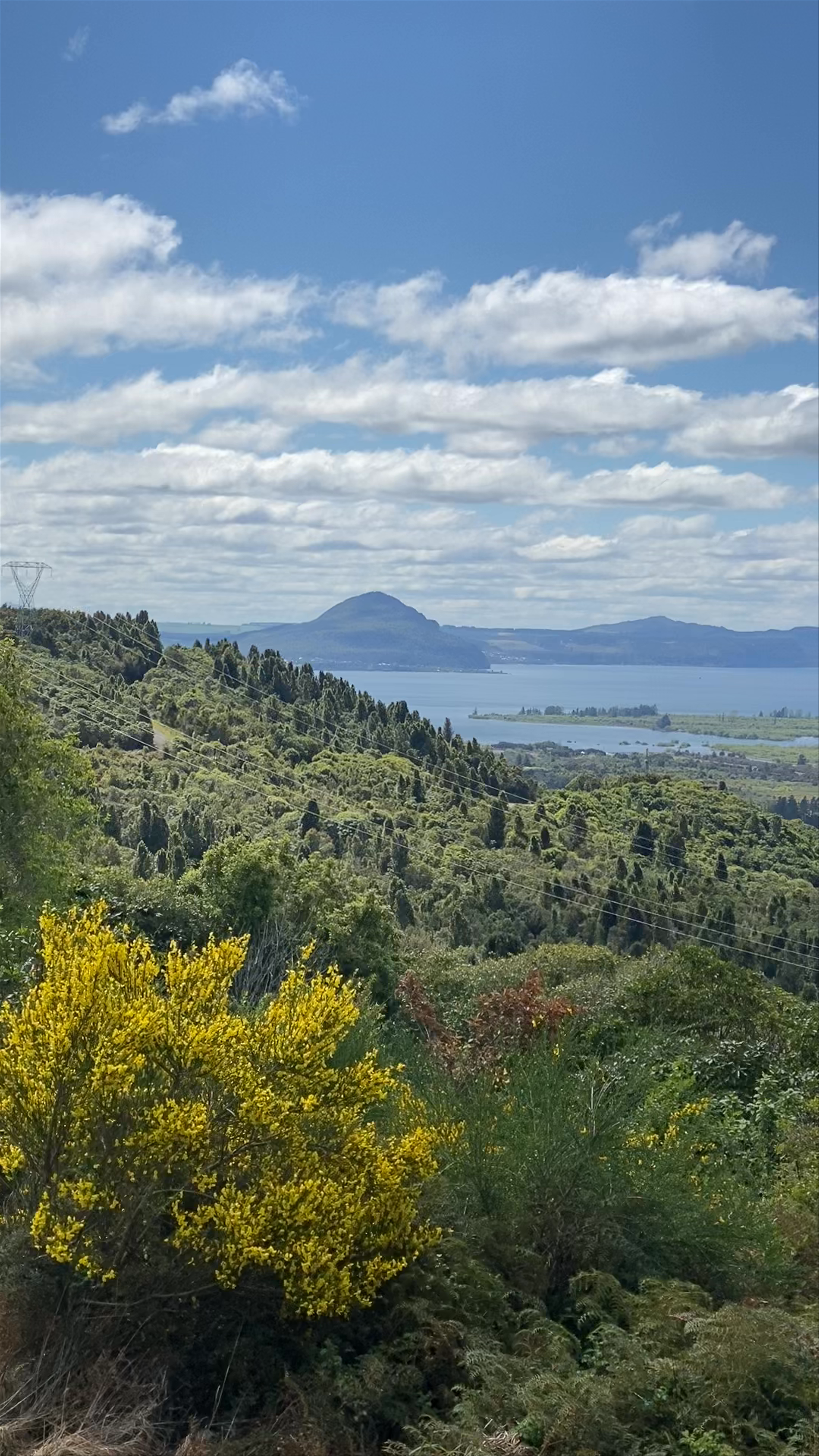 Te Ponanga Saddle View Point Te Ponanga Saddle Road