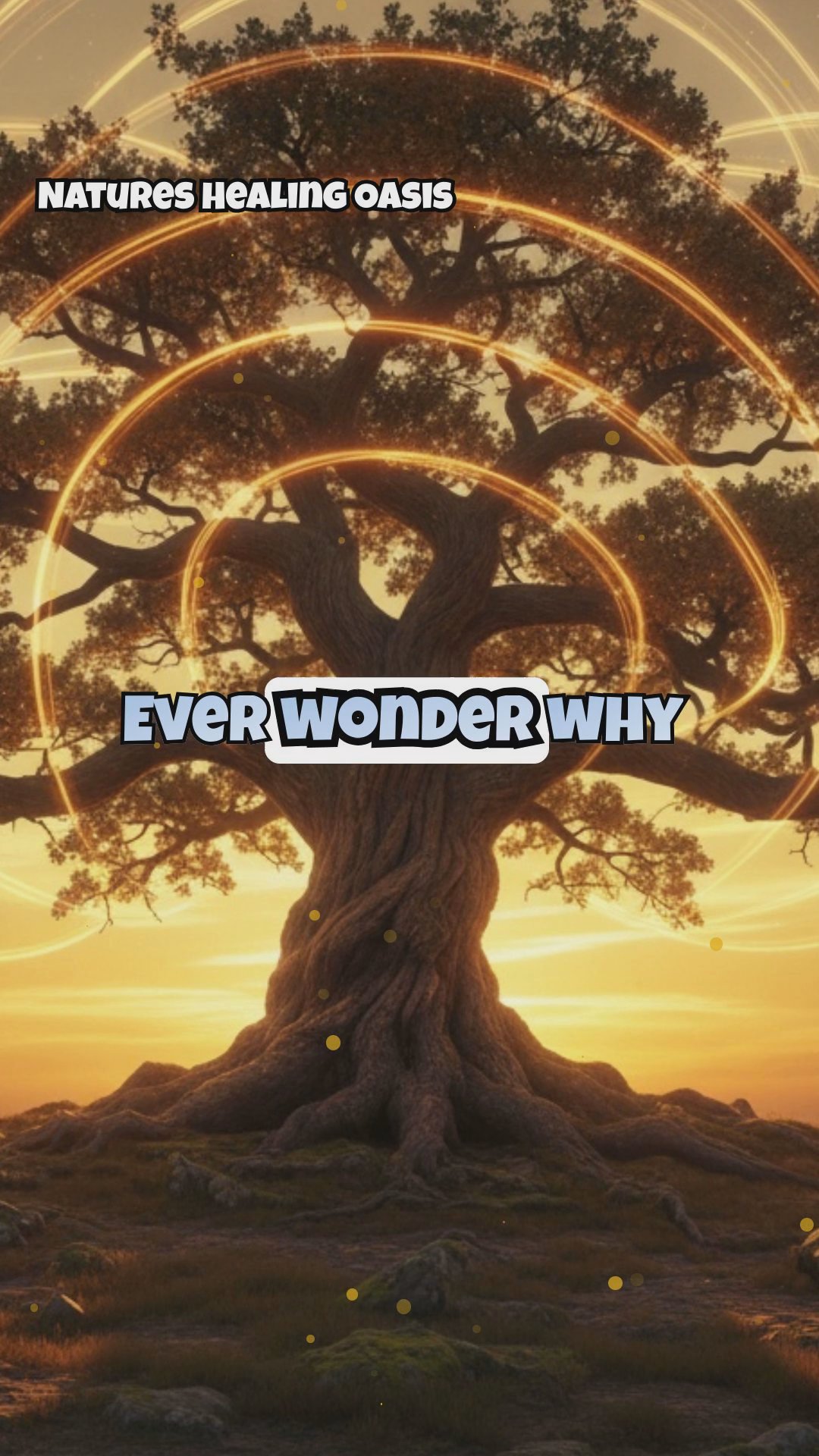 Identifying High-Energy Trees: Oak, Pine, Cedar, and Other Powerhouse Species