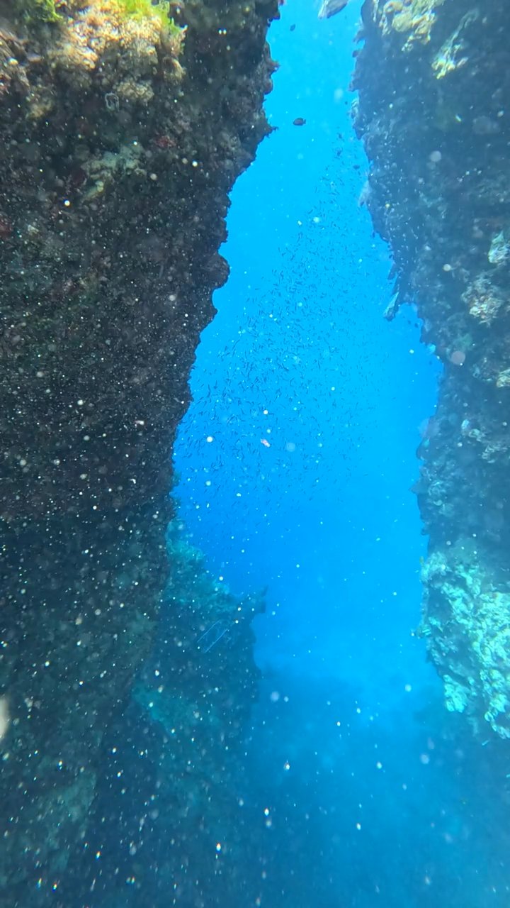 add this to the bucket list ✈️
📍 Great Barrier Reef
🎥 Dai Nogucih · Pexels
#travel #wanderlust #nature #adventure #vacation