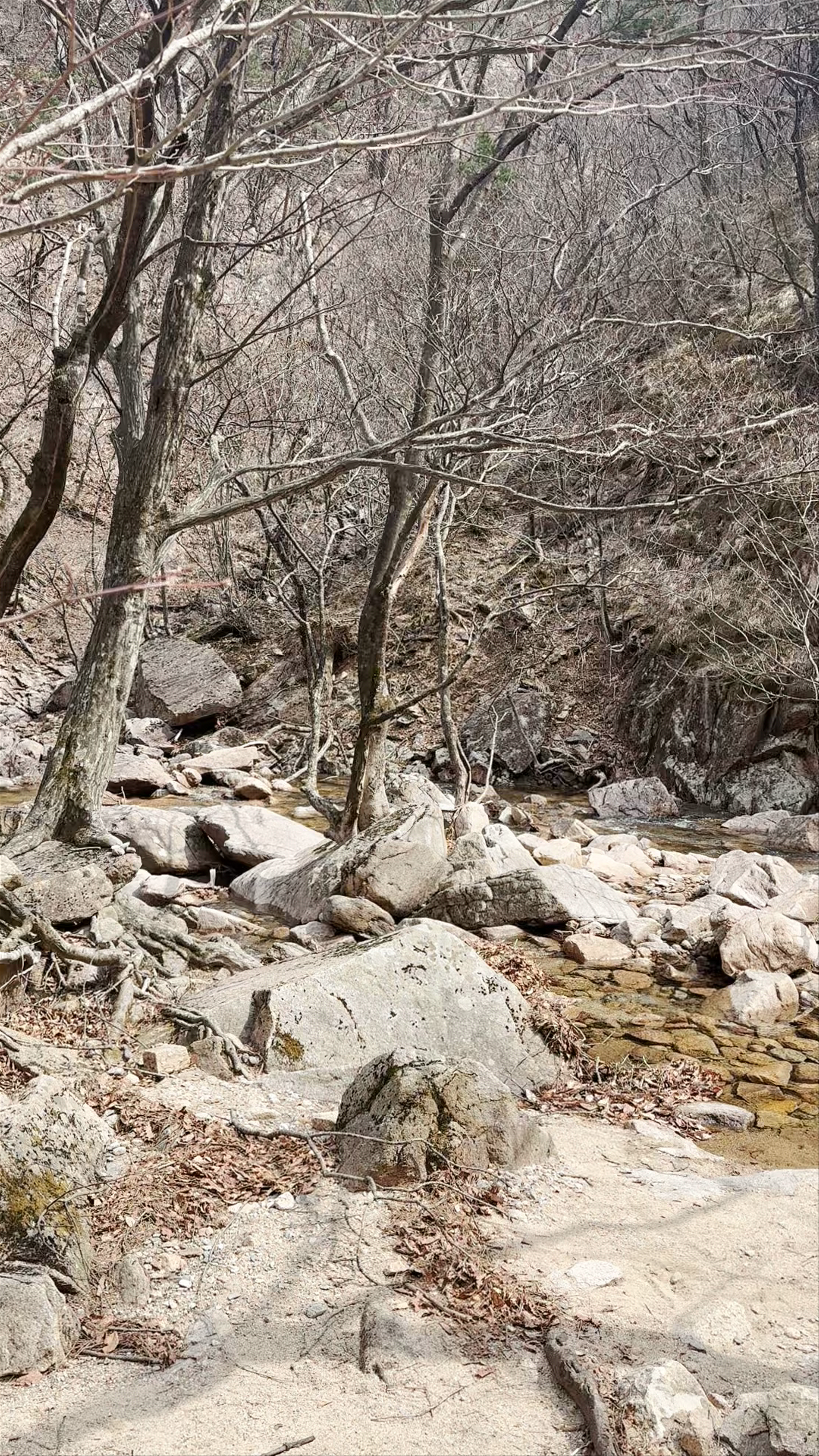 Serene Rocky Stream Trail in Seoraksan National Park