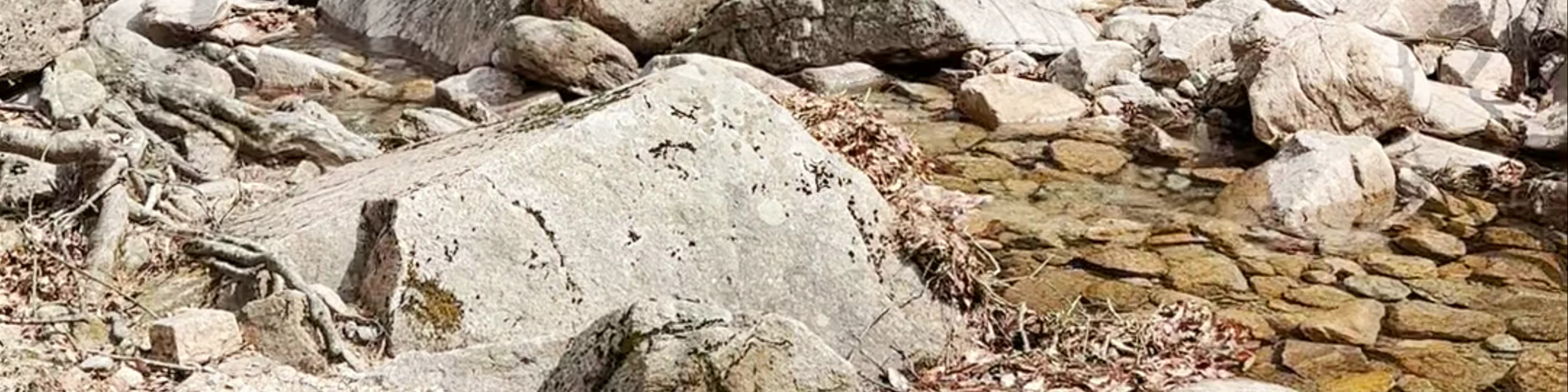 Seoraksan National Park