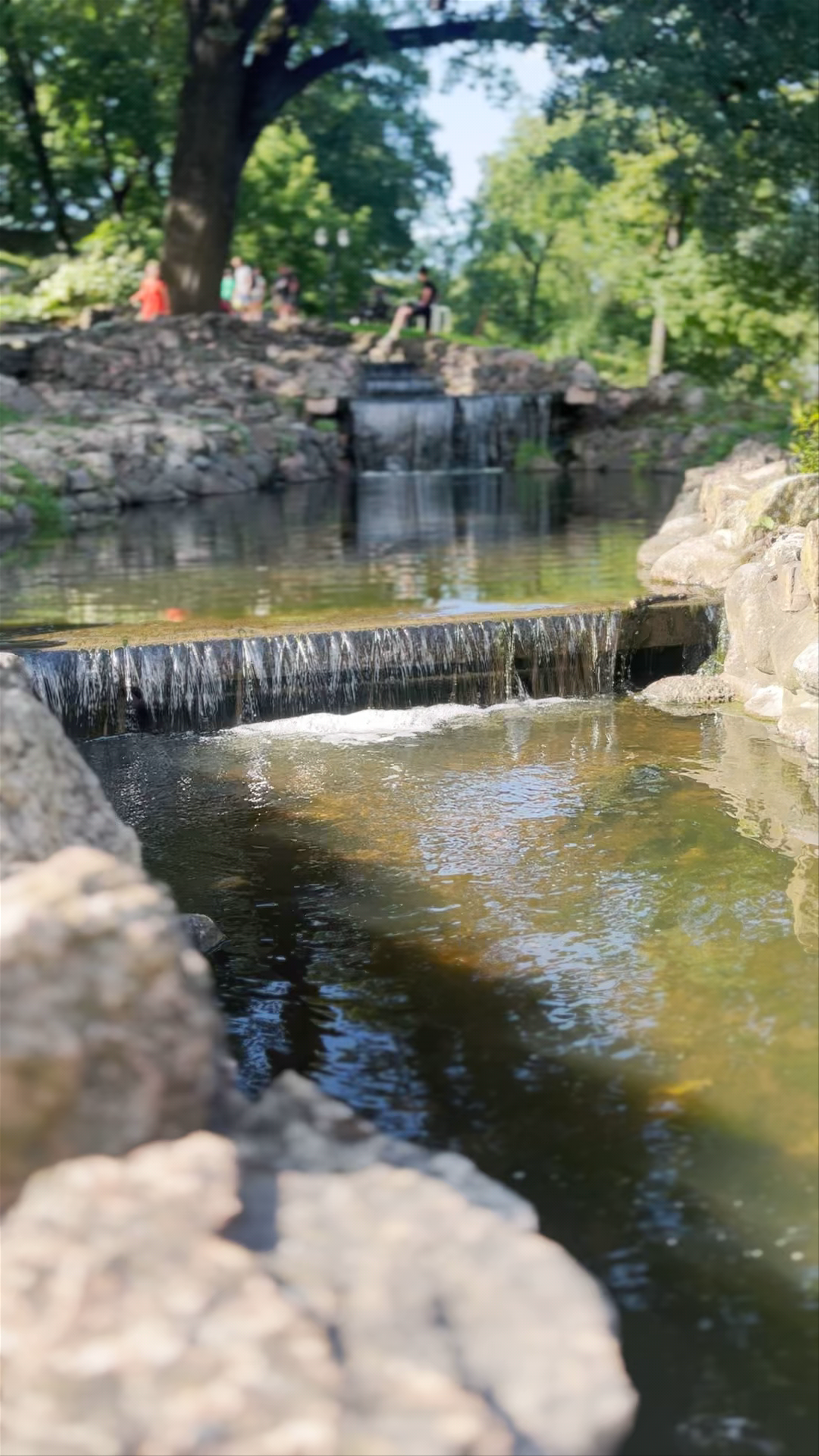 Bastejkalna Parks: A Serene Urban Oasis in Riga