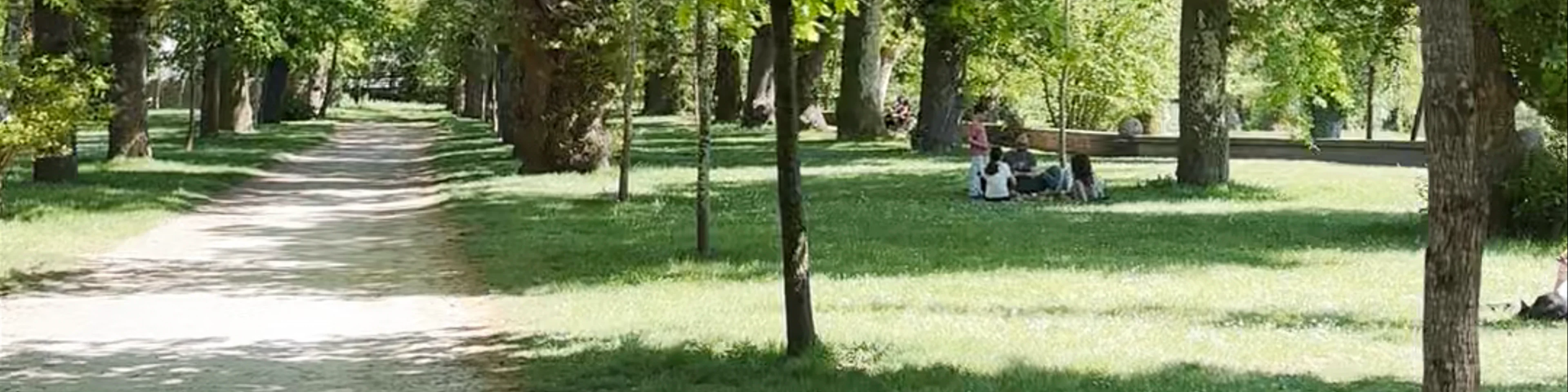 Carballeira de Caldas de Reis